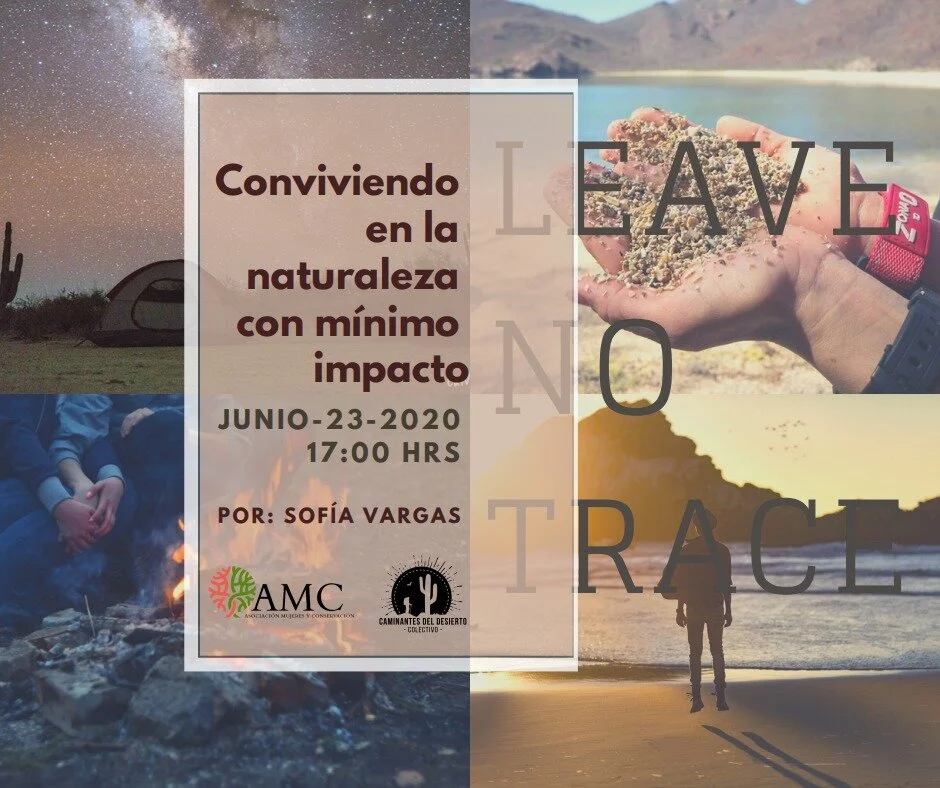 Conviviendo en la naturaleza con mínimo impacto