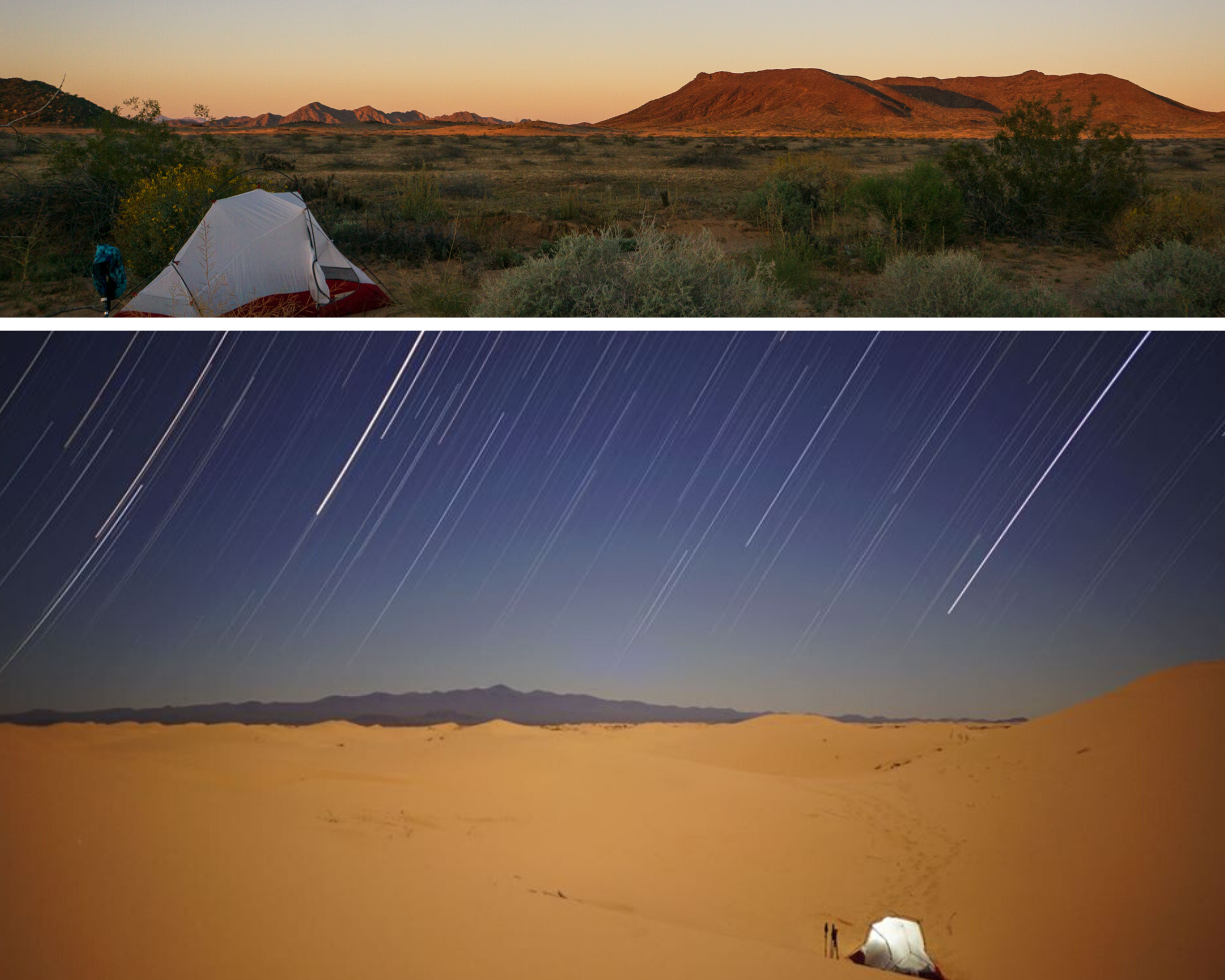 Pinacate cruce (1).png