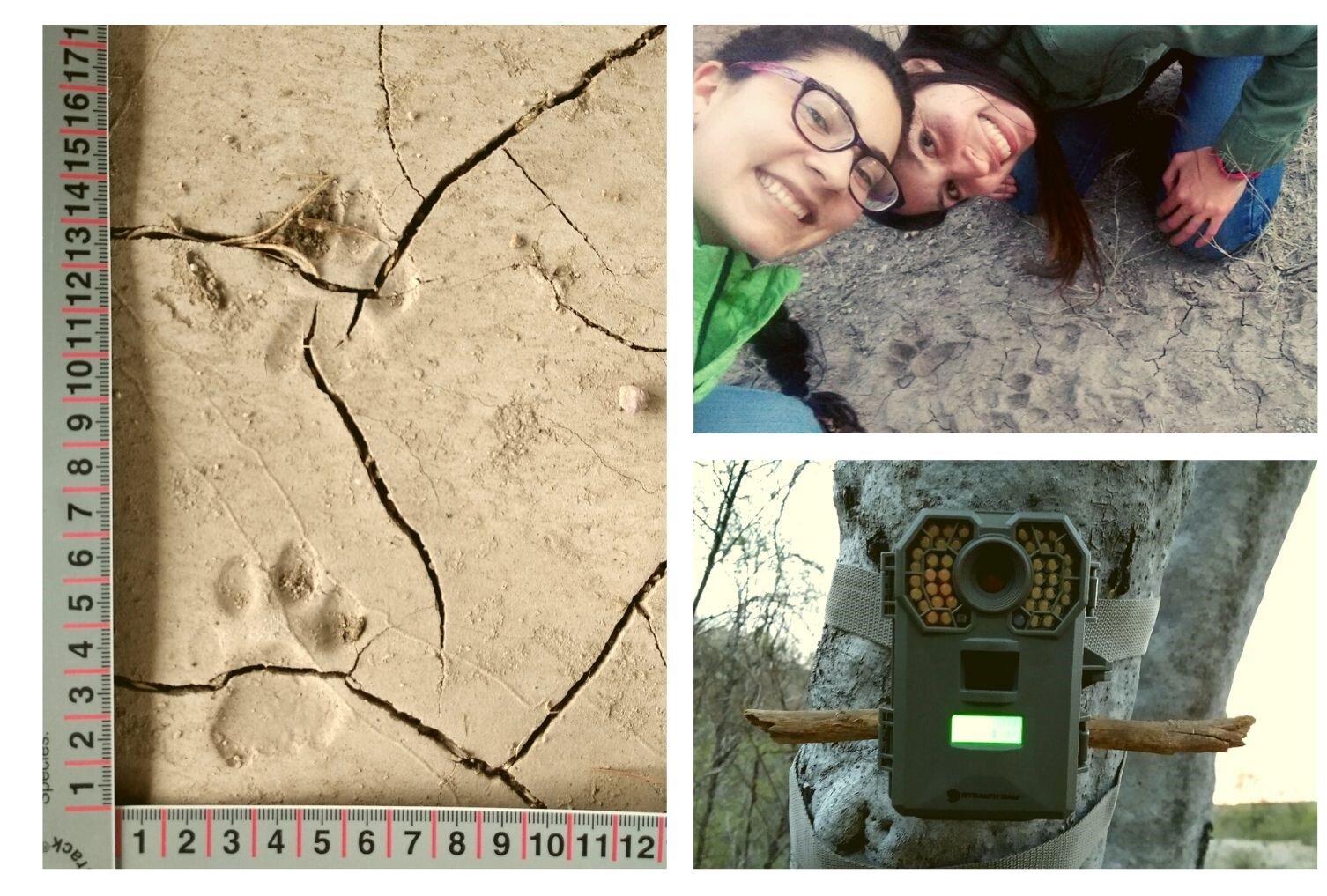 Taller Rastreo Final.jpg