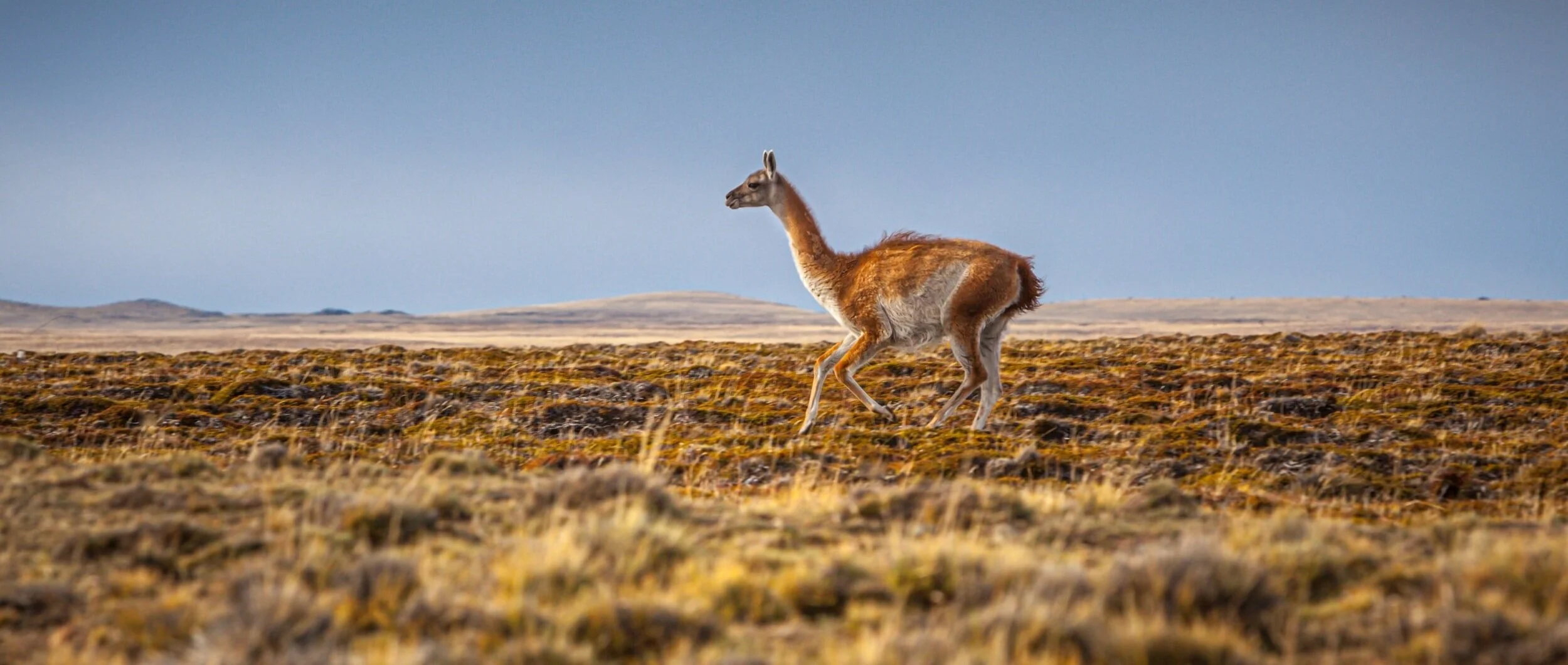 Los destinos secretos de un viaje en carretera