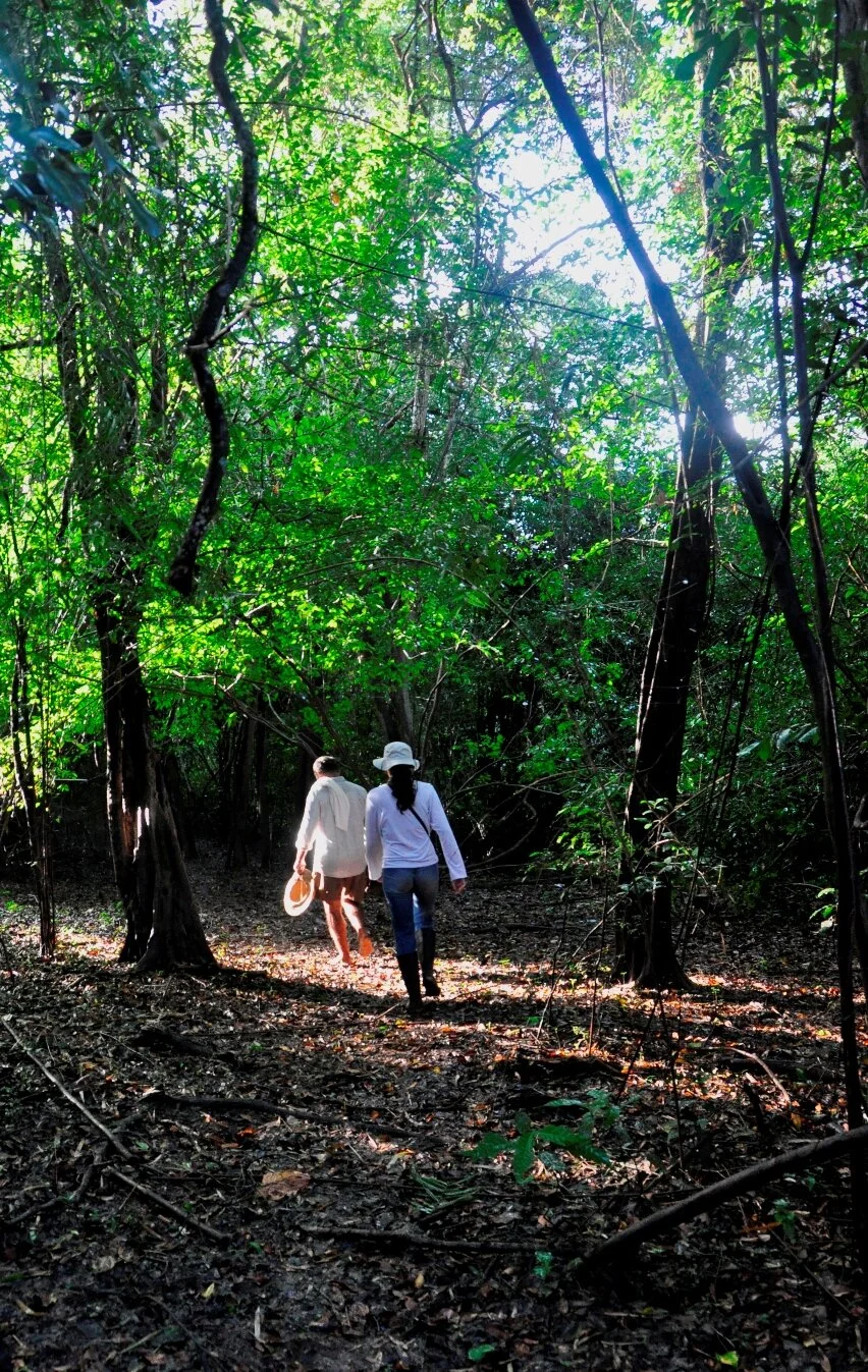 Sendero, Reserva Natural Bojonawi, Reserva de Biosfera El Tuparro, Colombia