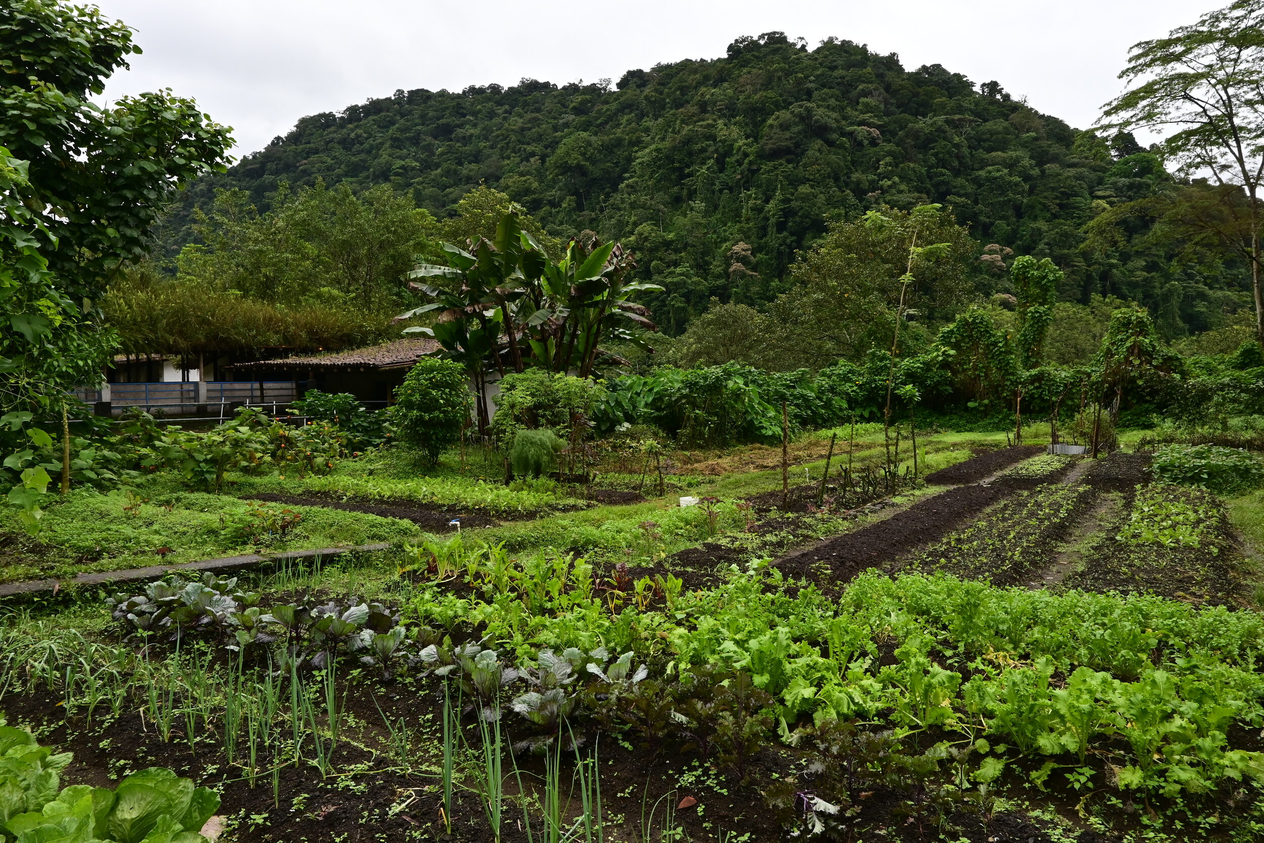 Rancho Margot, Reserva de Biosfera Agua y Paz, Costa Rica