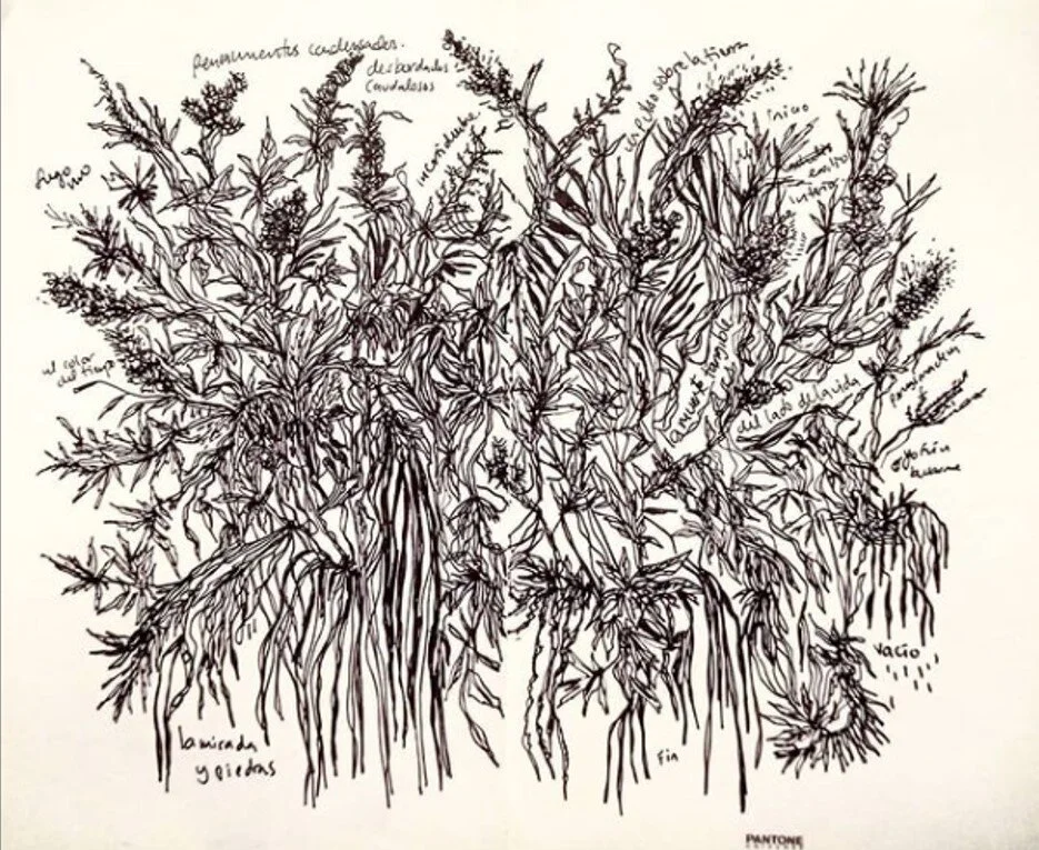 archivo brenda castro 14.jpg