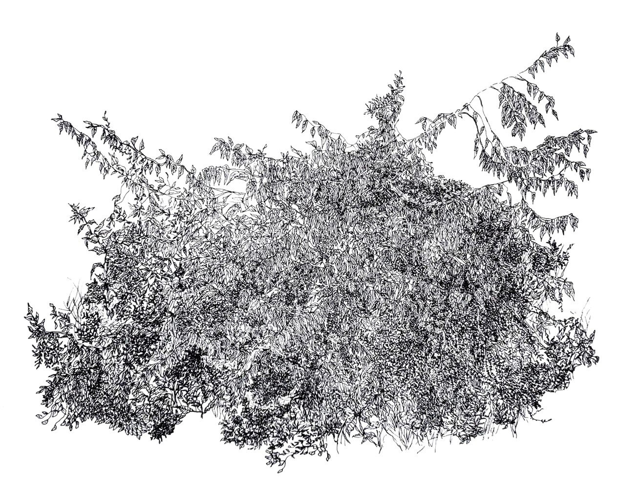 archivo brenda castro 9.jpg