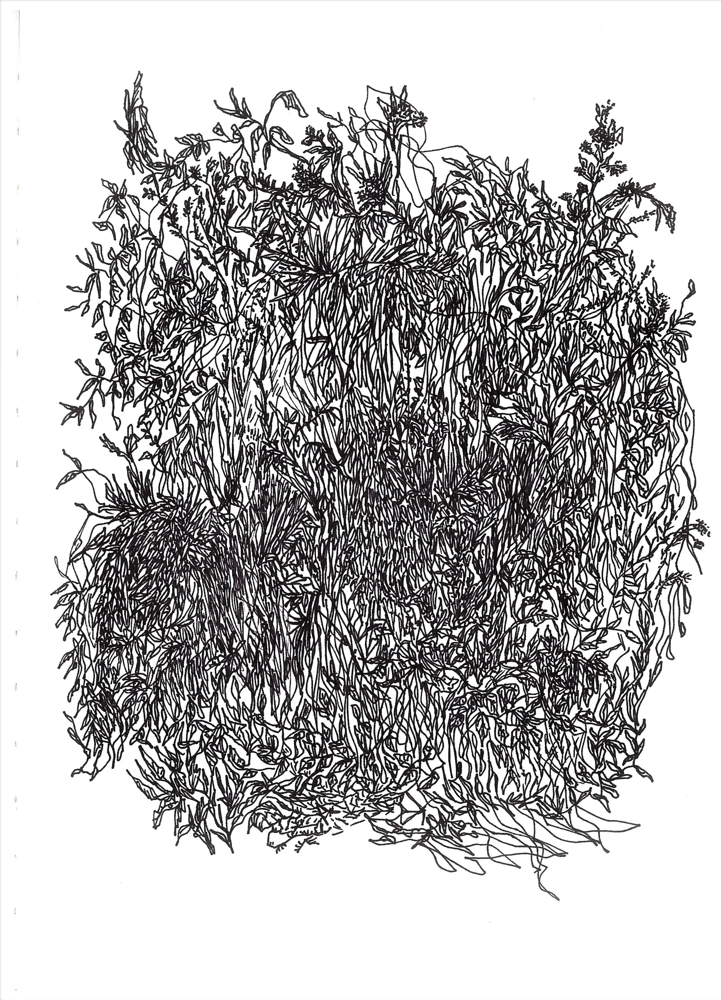 archivo brenda castro 20.jpg