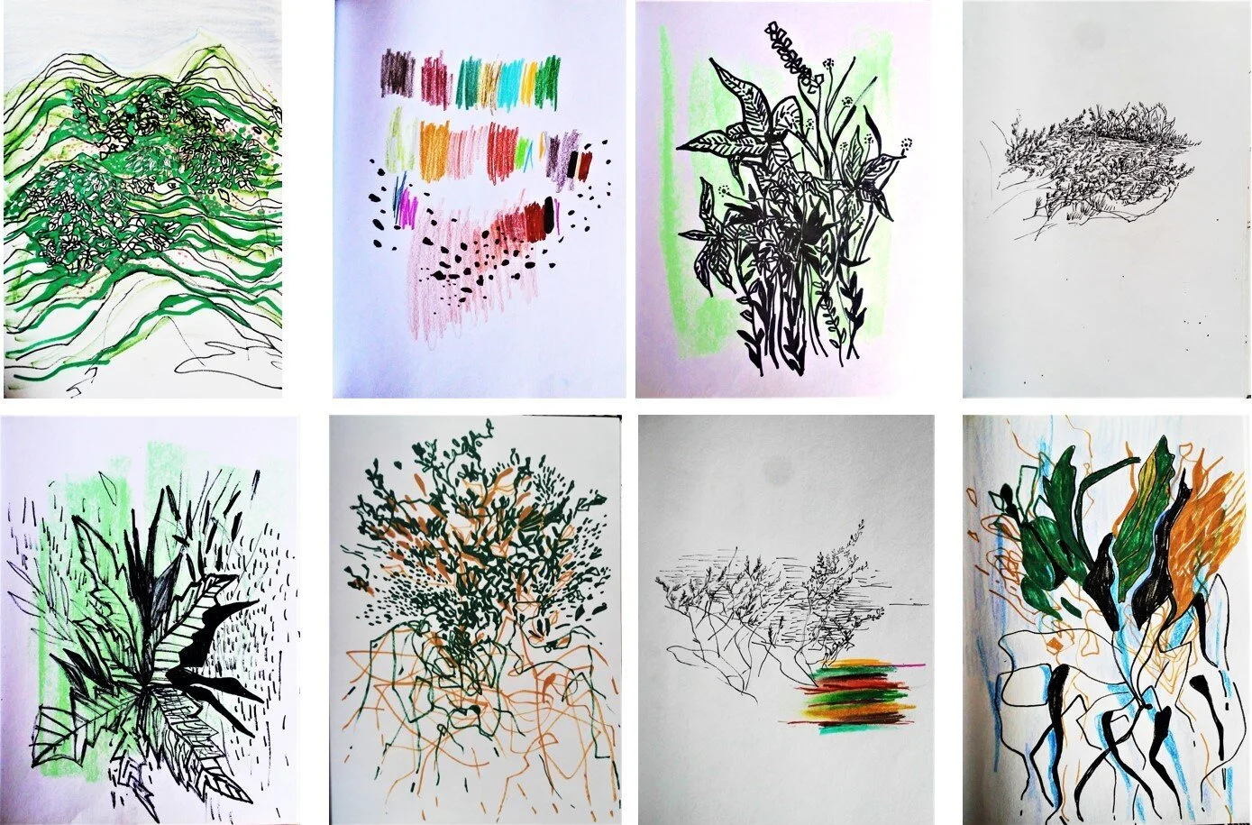 archivo brenda castro 18.jpg