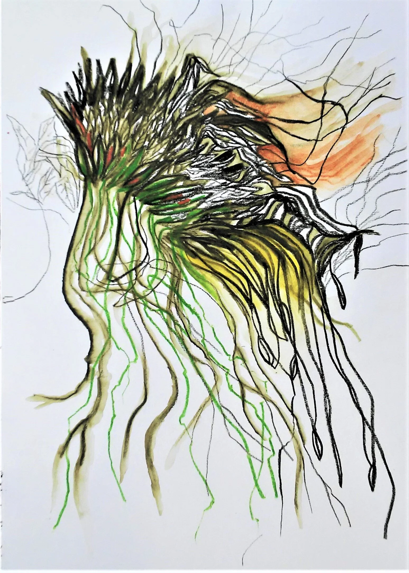 archivo brenda castro 11.jpg