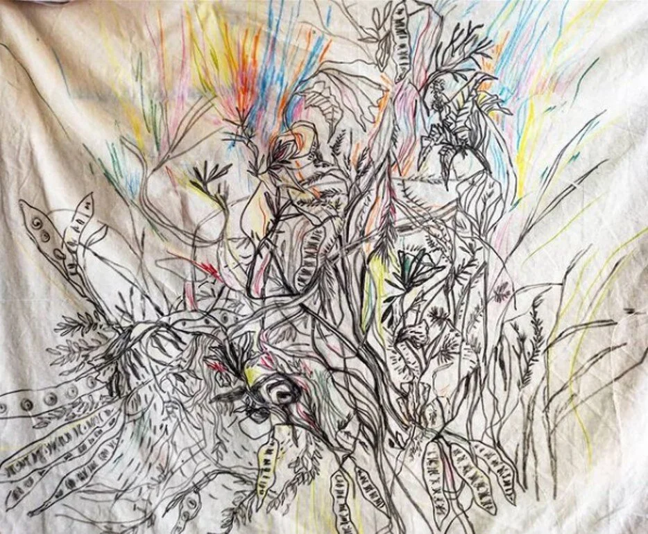 archivo brenda castro 8.jpg