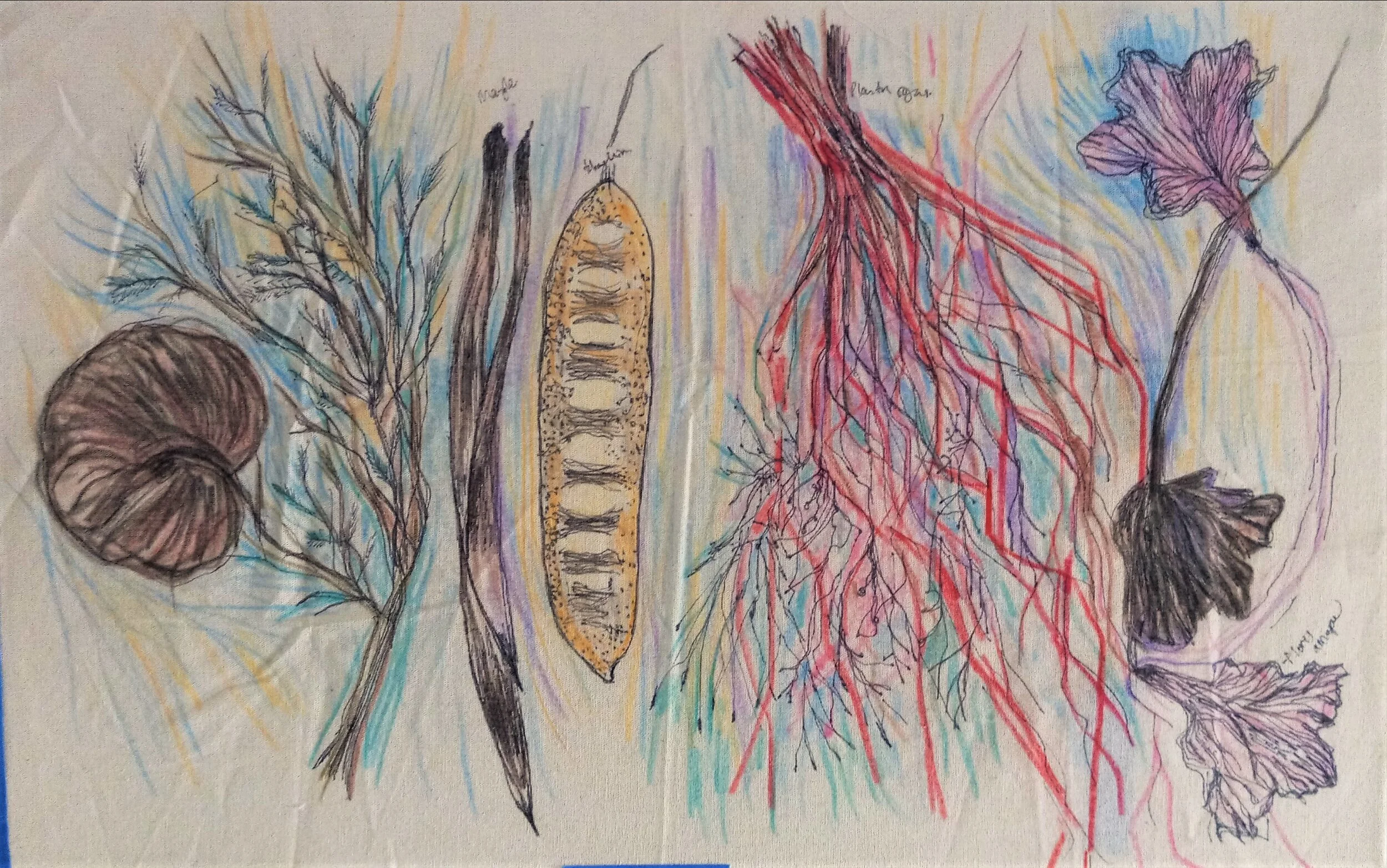 archivo brenda castro 26.jpg