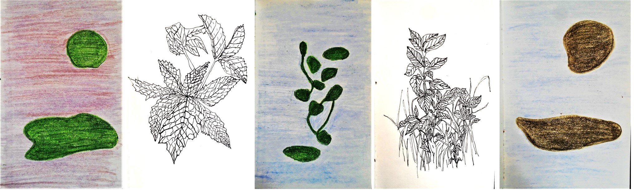 archivo brenda castro 16.jpg