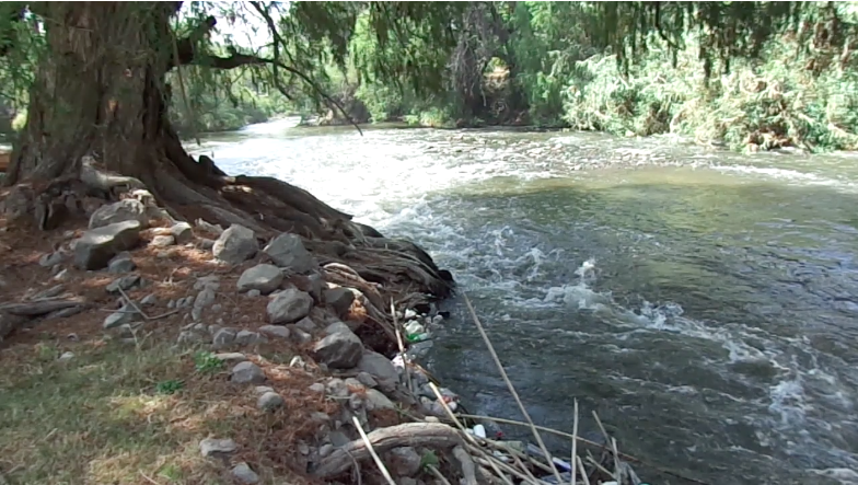 Captura de pantalla 2021-08-04 a la(s) 20.37.38.png