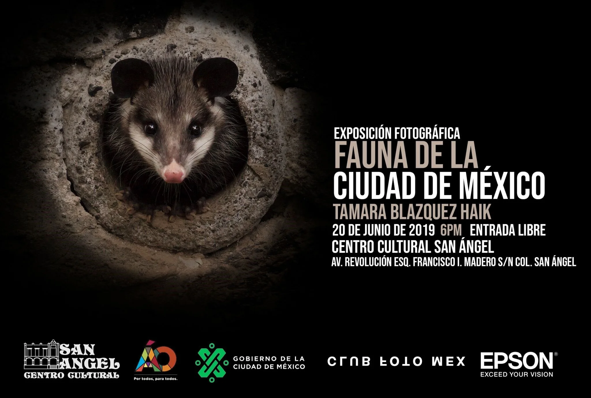 Proyecto fotográfico educativo enfocado en la Fauna de la Ciudad de México.