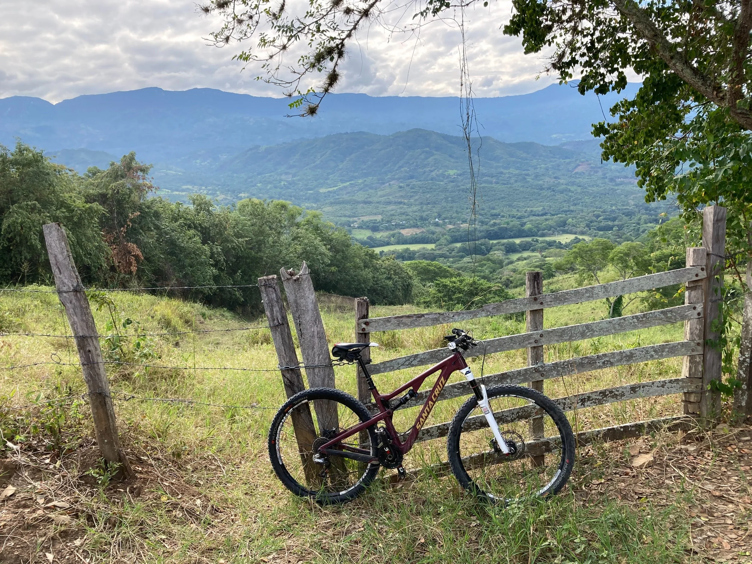 Ser conservacionista