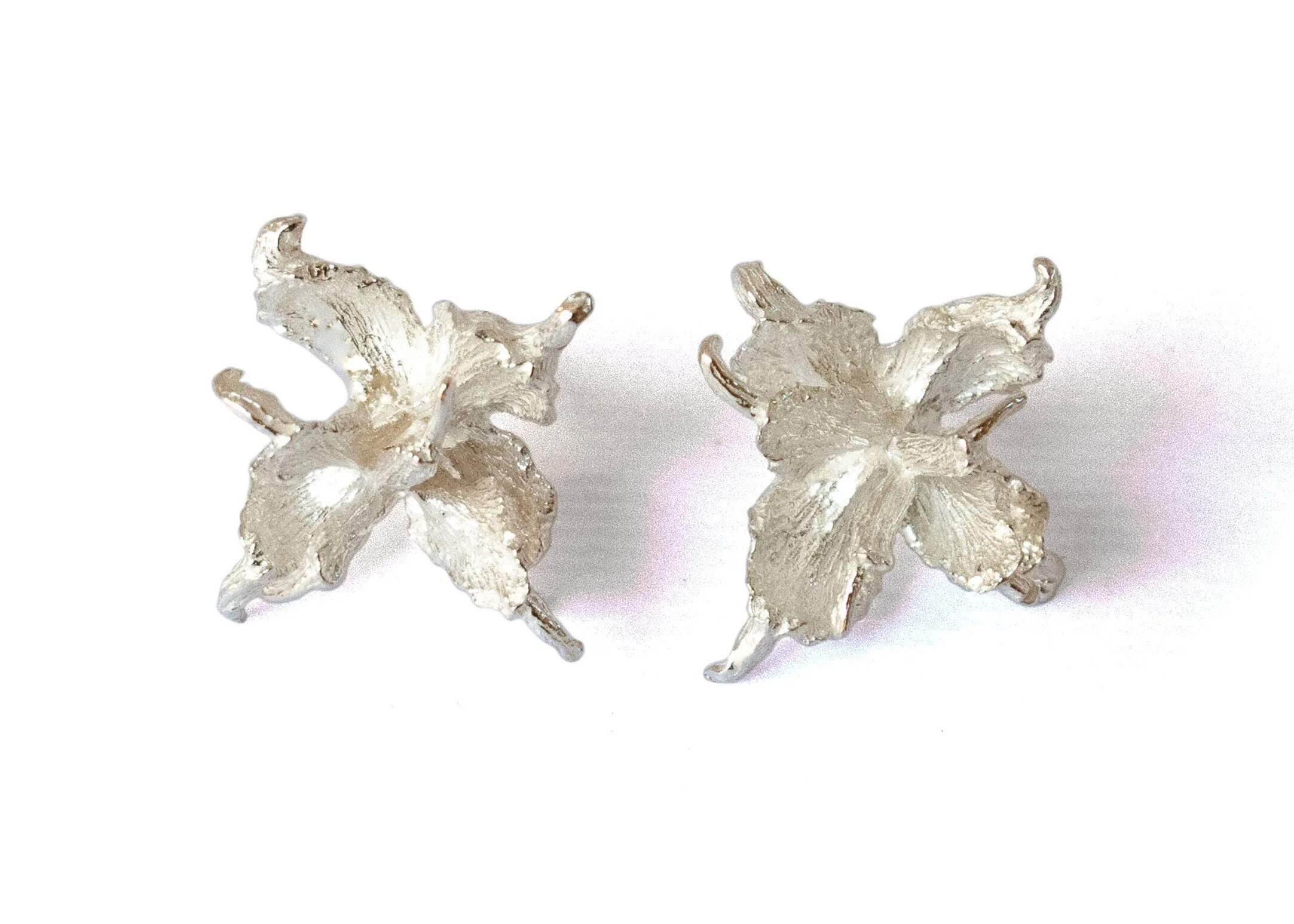 Orecchini Capsule Thuja