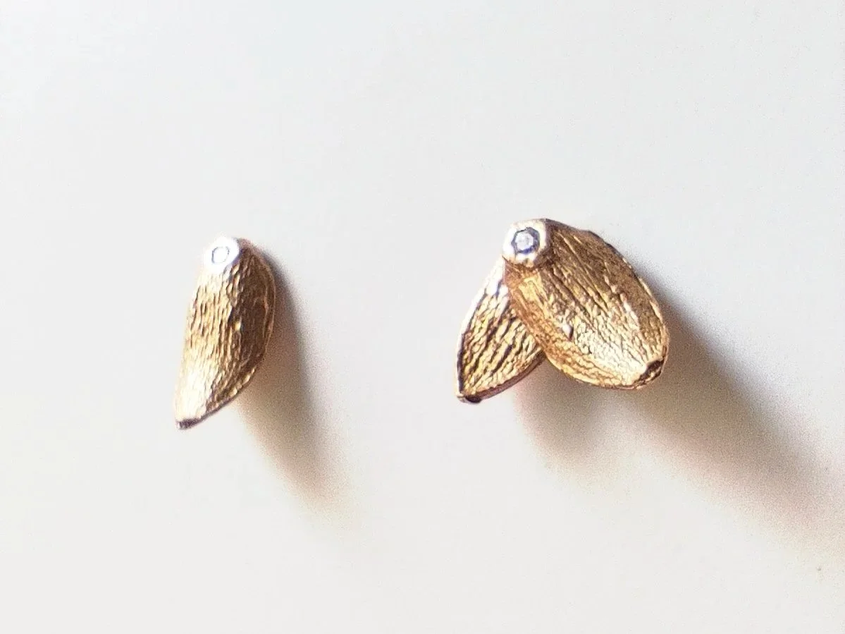 Orecchini Cedro California Petits