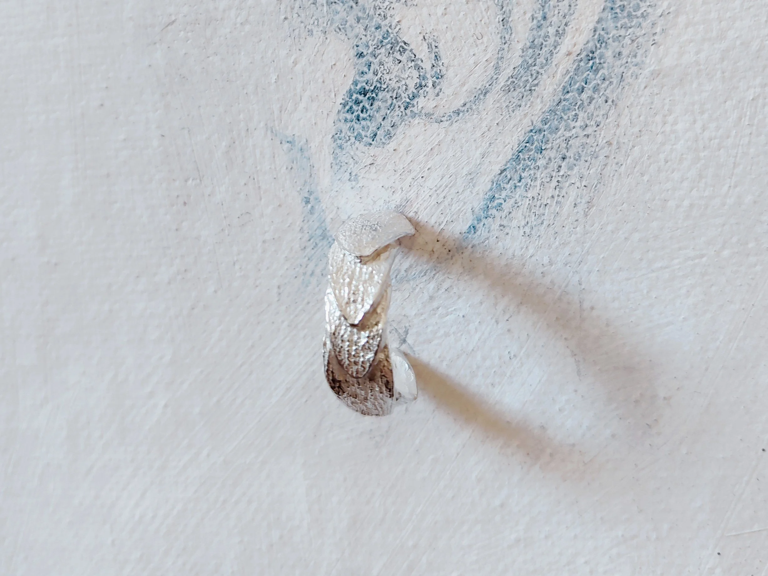 ORECCHINI SU TELA.jpg