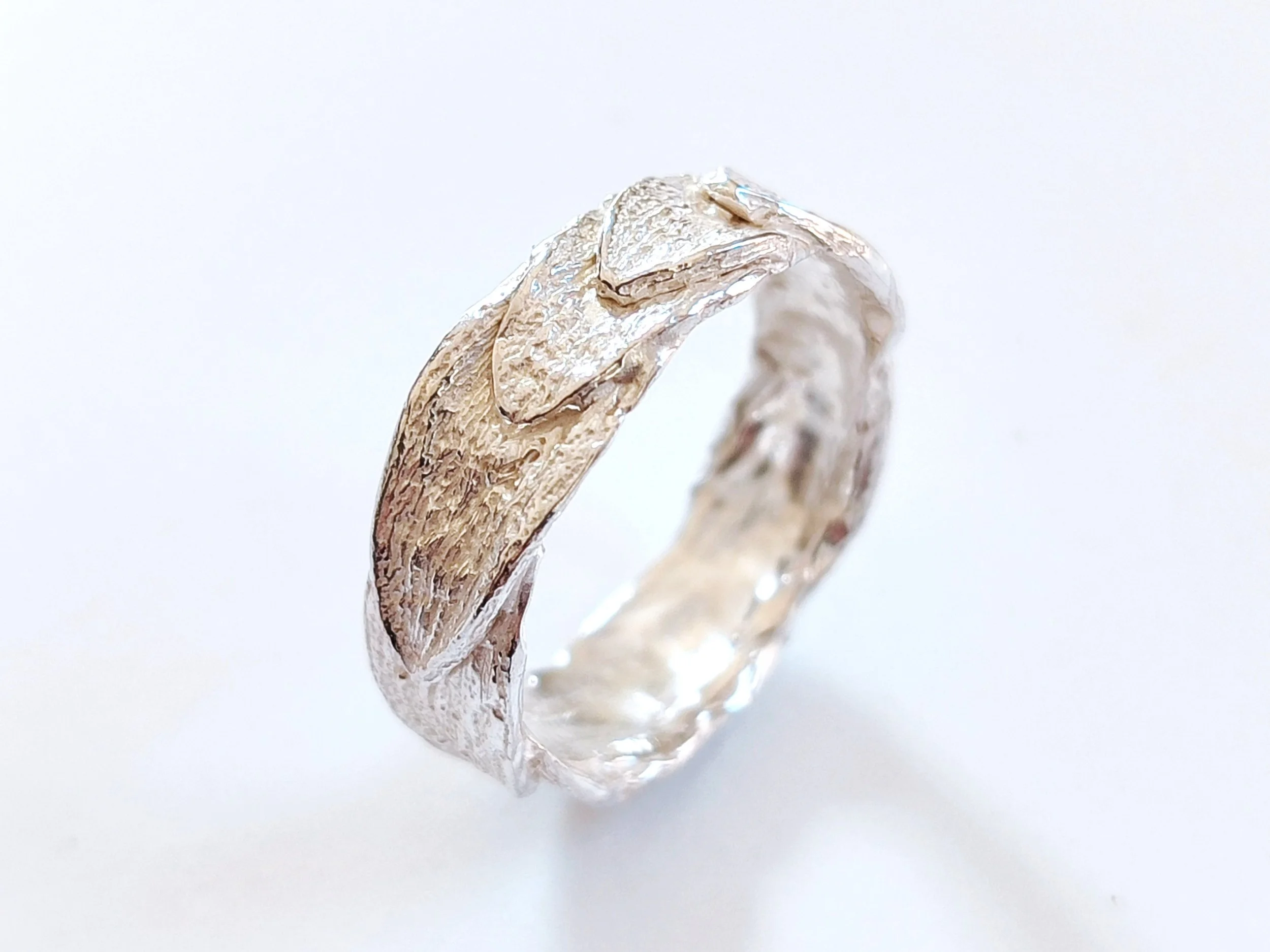 Cipresso della California Ring