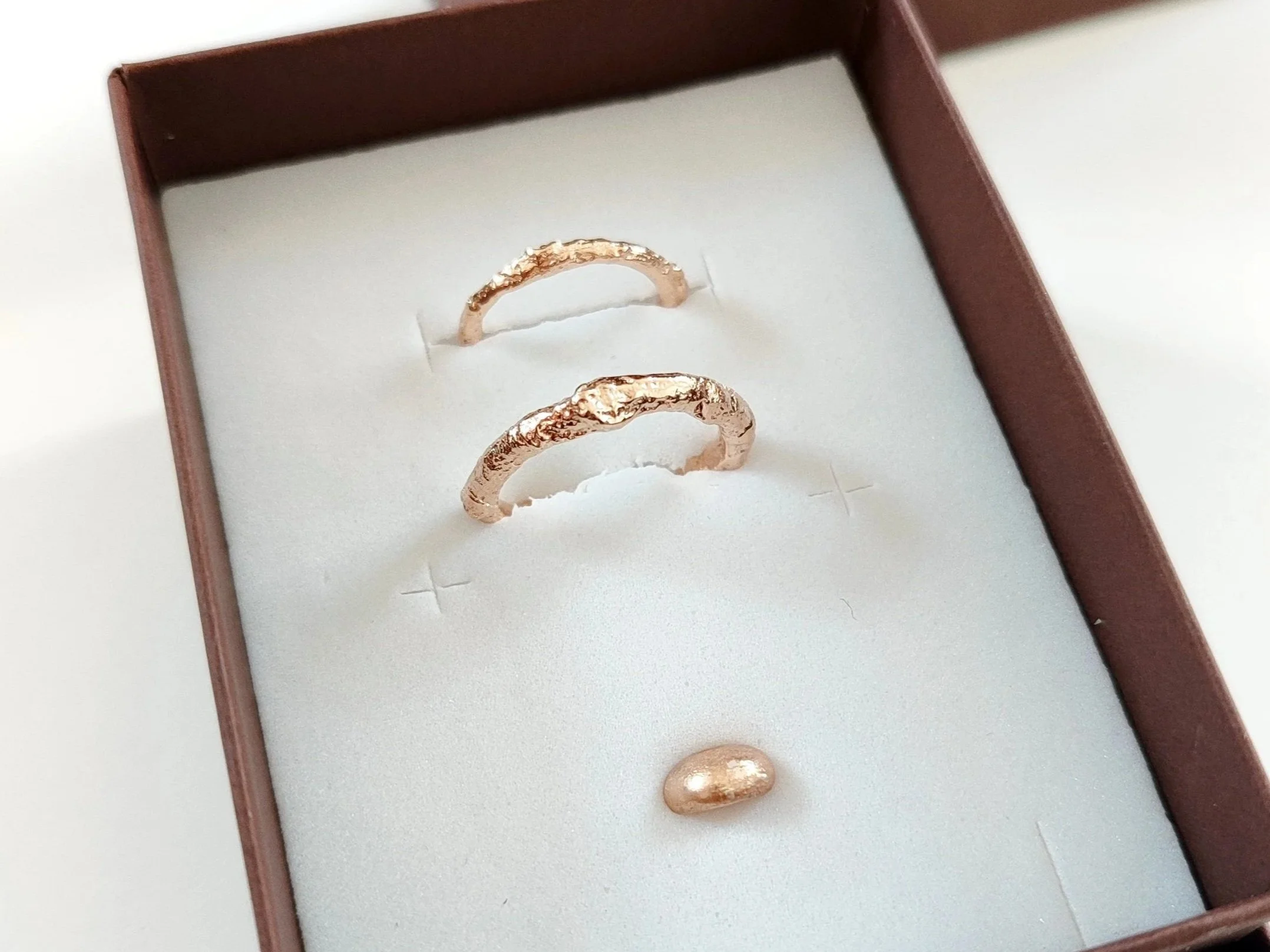 1773228883491.jpg (Copia)