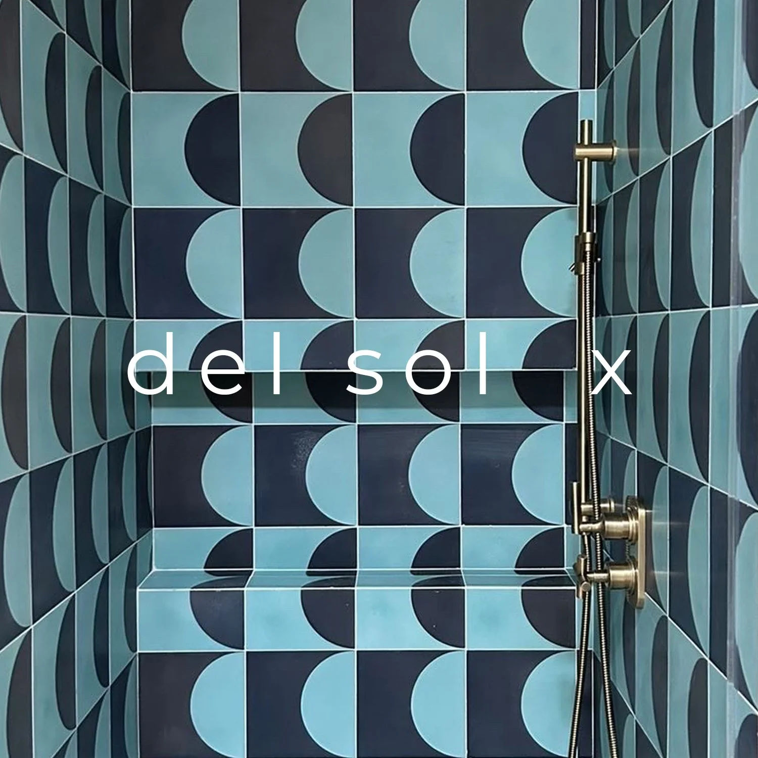 delsolxbutton.jpg