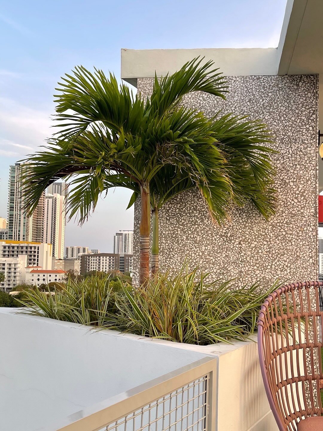 taking terrazzo outside 🌴 //
⠀⠀⠀⠀⠀⠀⠀⠀⠀
〰️ @moniomidesign used our VeNiCe fossil large marble chip on this gorgeous Miami rooftop 🏙️
⠀⠀⠀⠀⠀⠀⠀⠀⠀
〰️ all of our material is suitable for exterior spaces! 🌞
