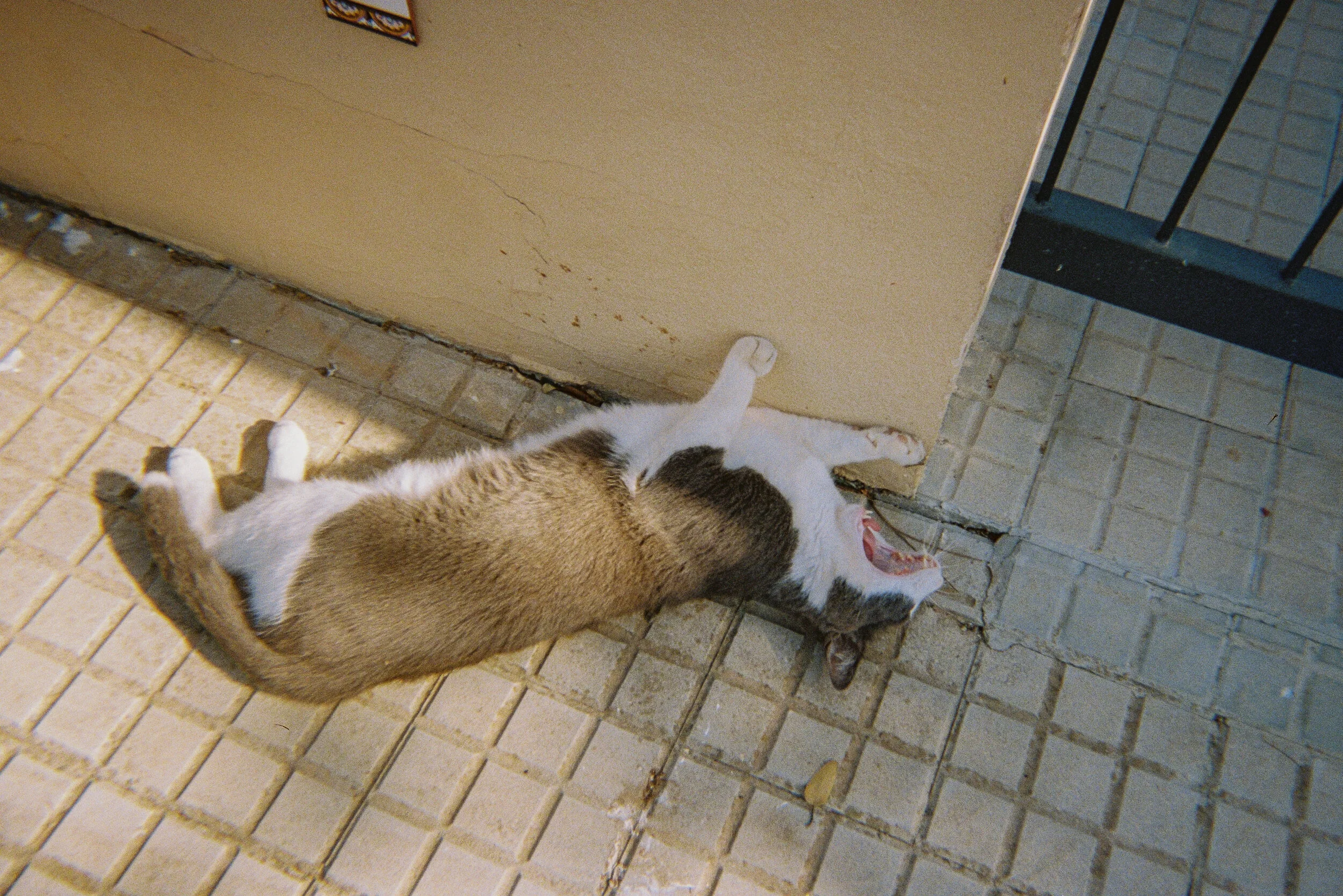 000049.jpg
