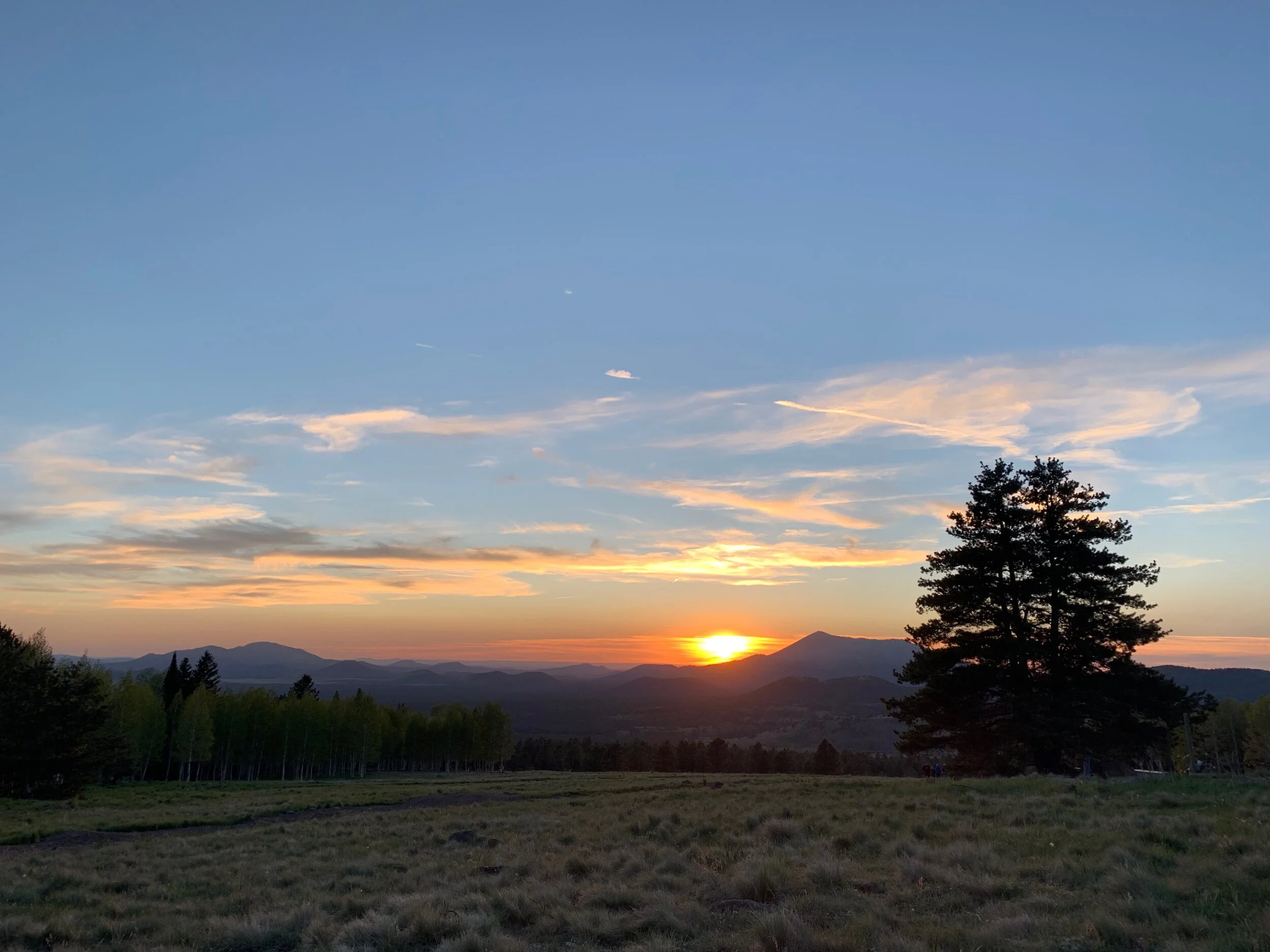 The Science of Gratitude