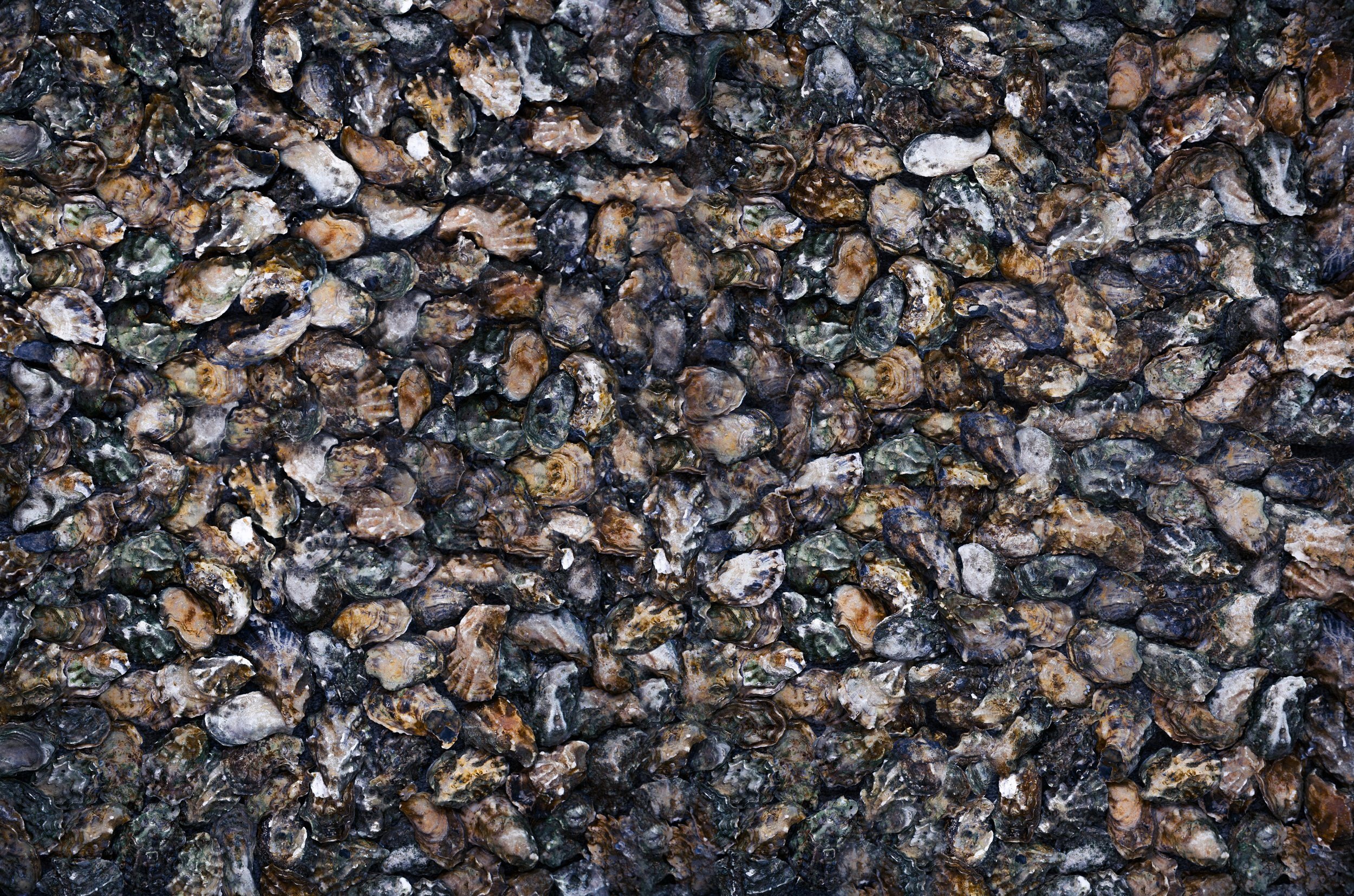 Sea and River, 24th May