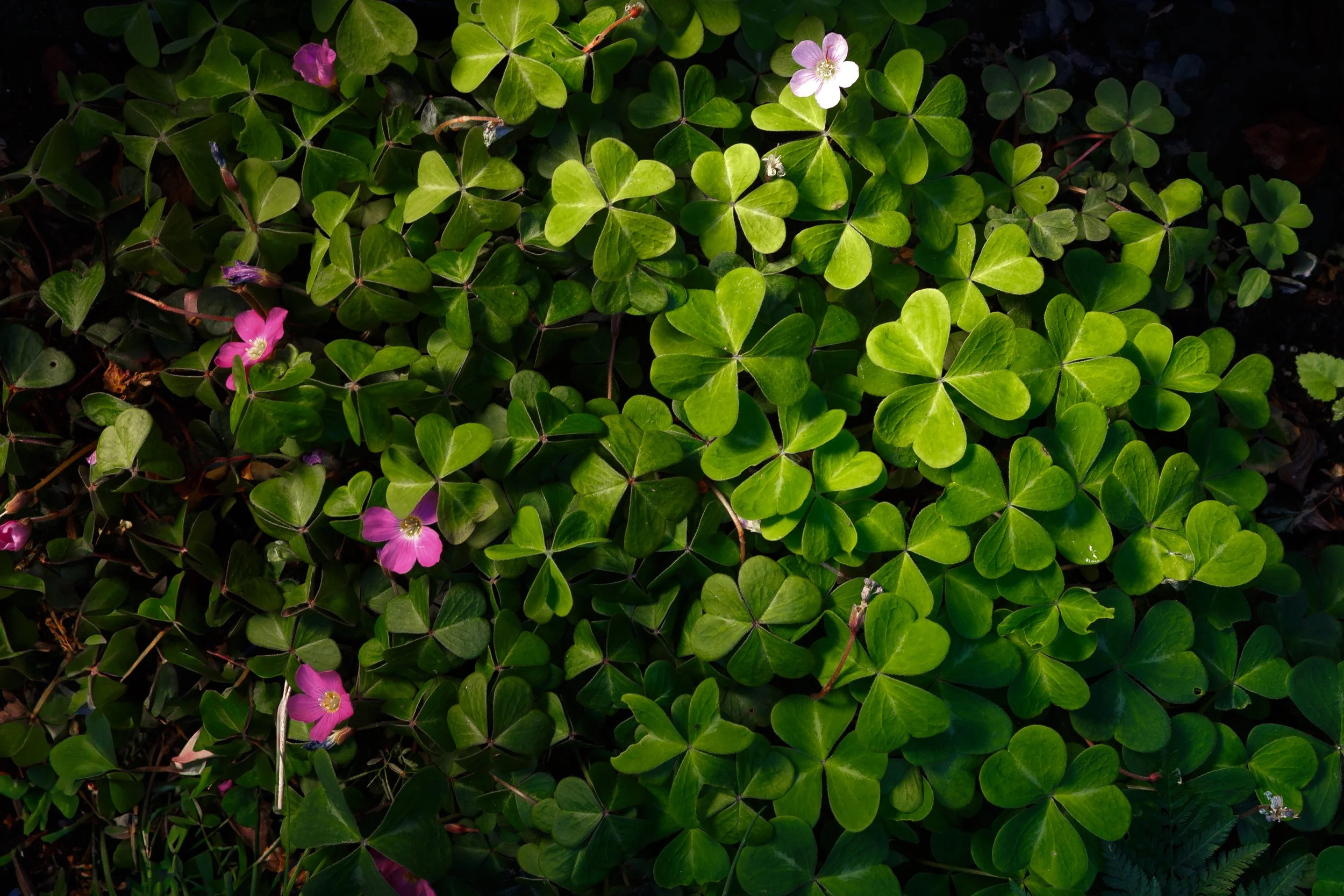 Beginnings, March 13th