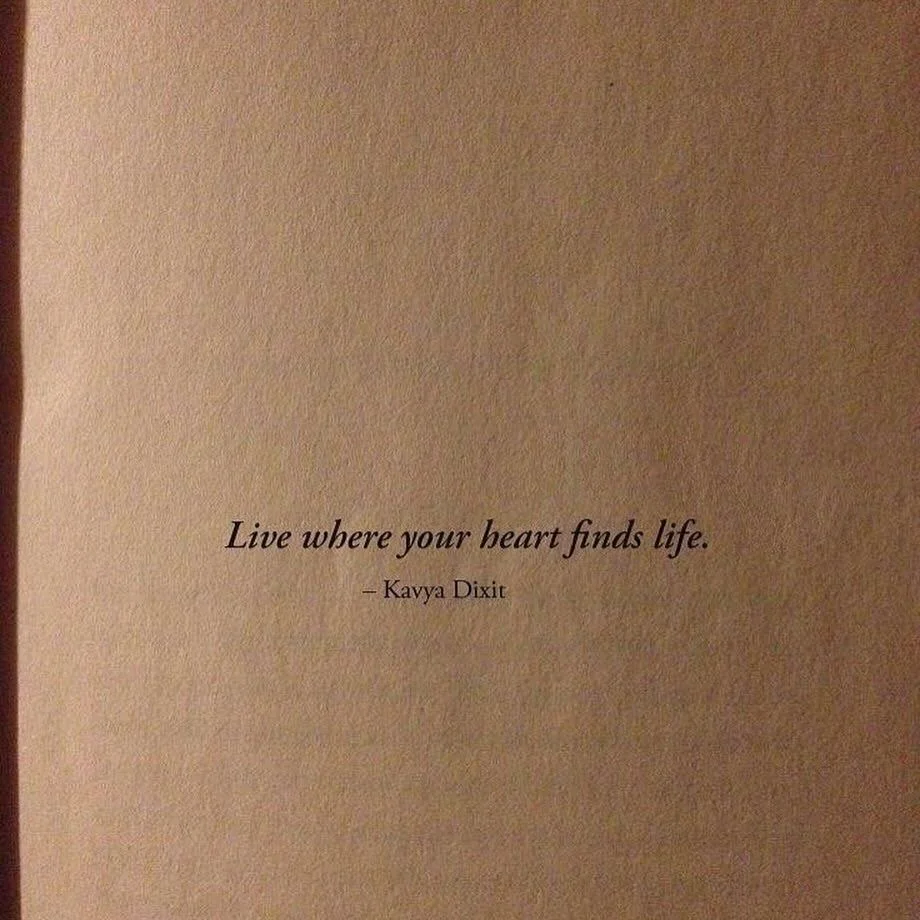 Journal January Entry 25: Rest