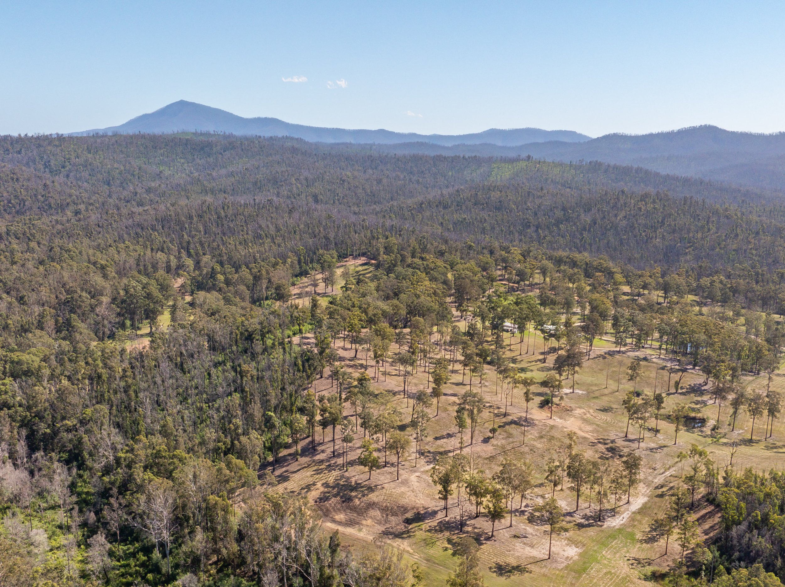 Website Real Estate All-3.jpg