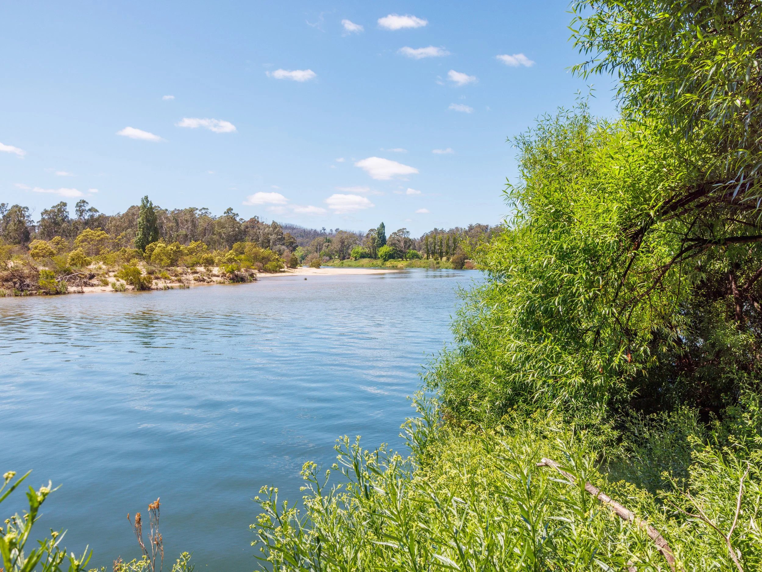 Website Real Estate All-132.jpg