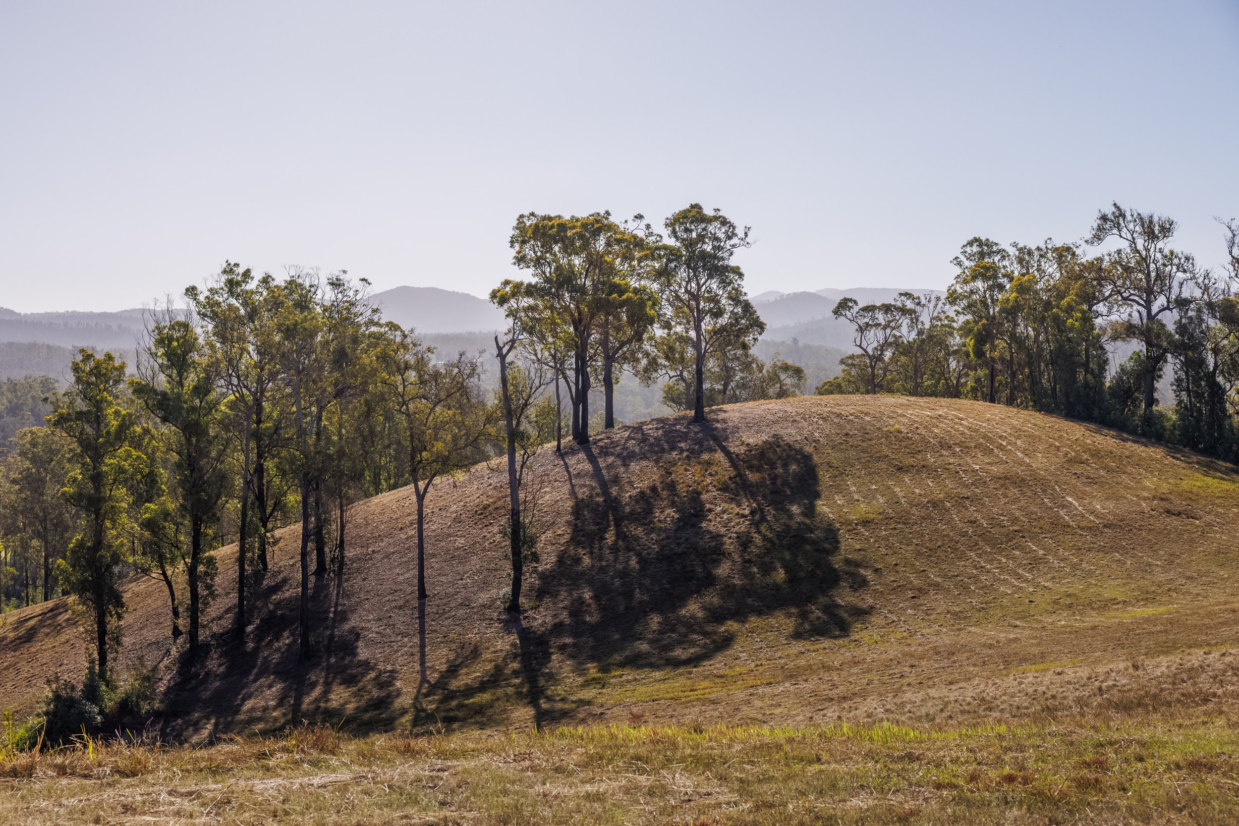 Website Real Estate All-7.jpg