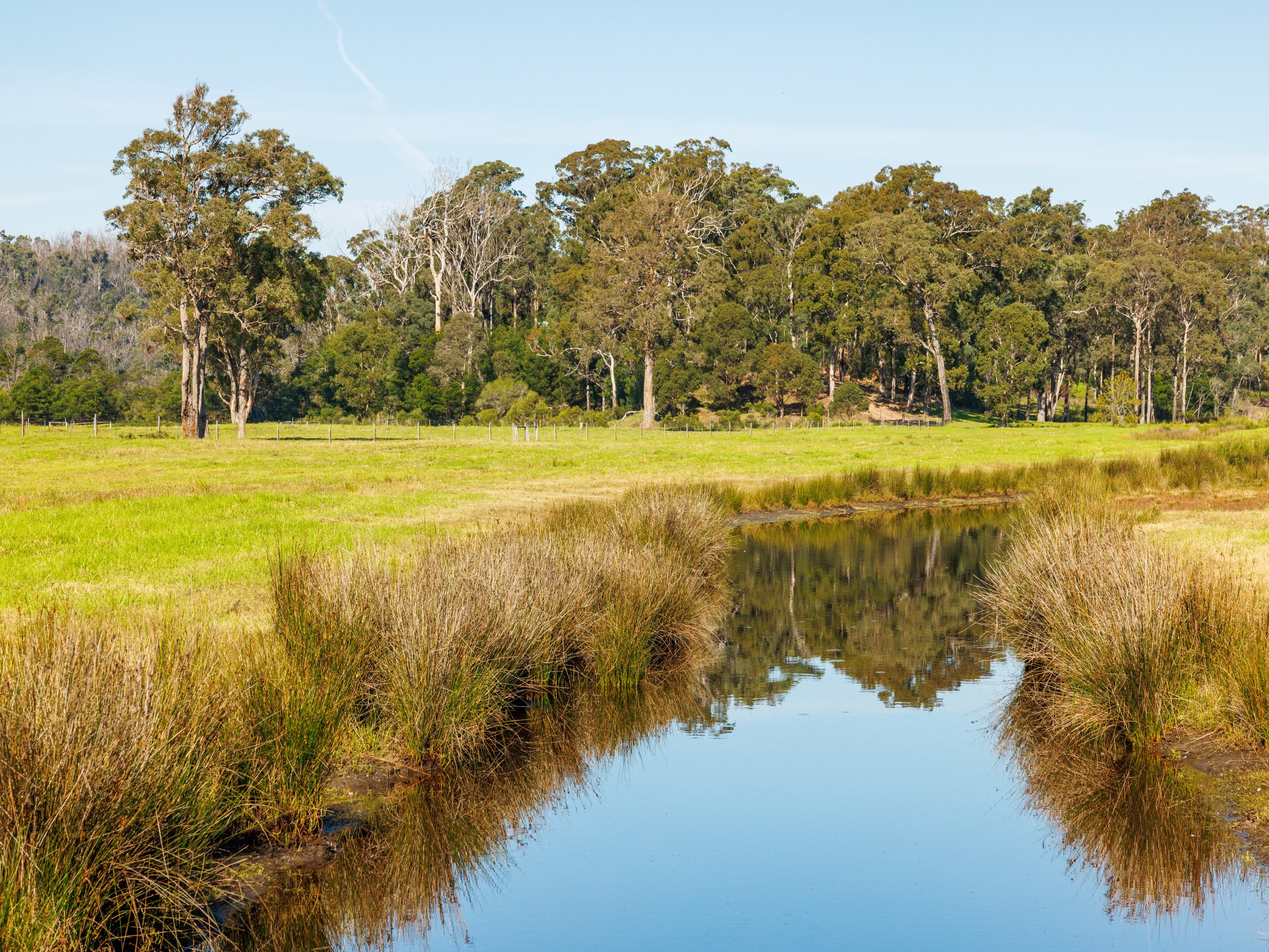 Website Real Estate All-82.jpg