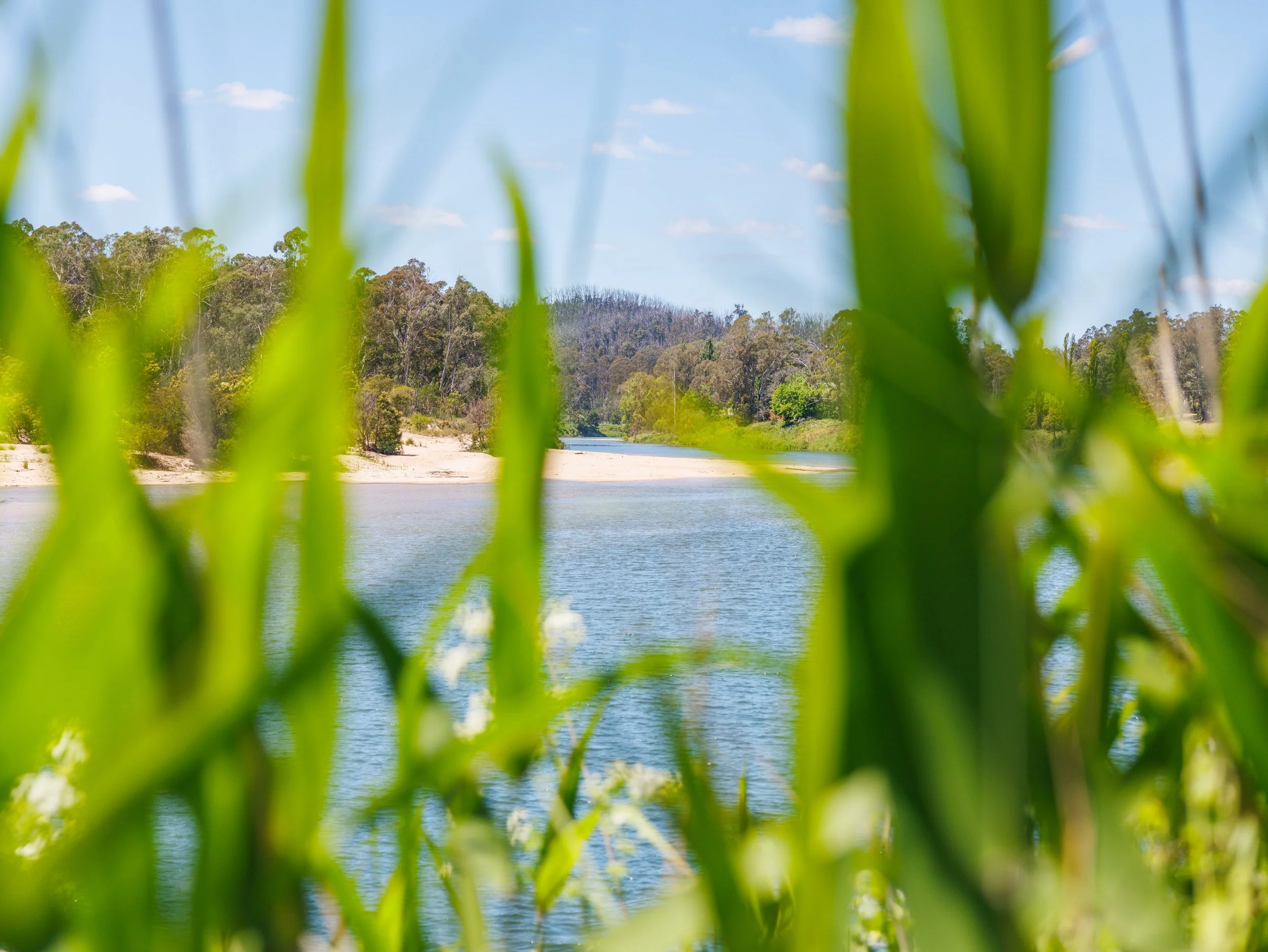 Website Real Estate All-133.jpg