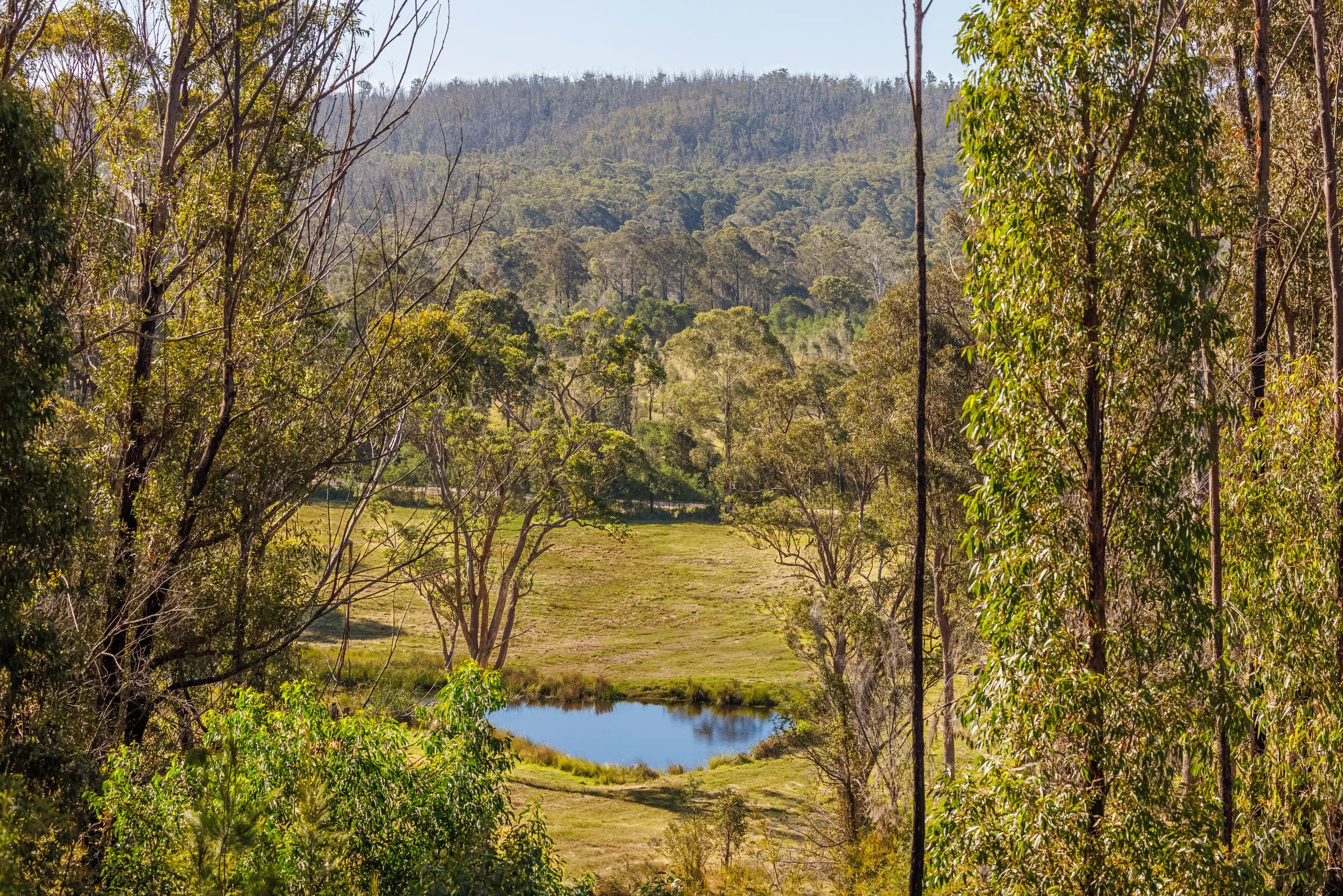 Website Real Estate All-6.jpg