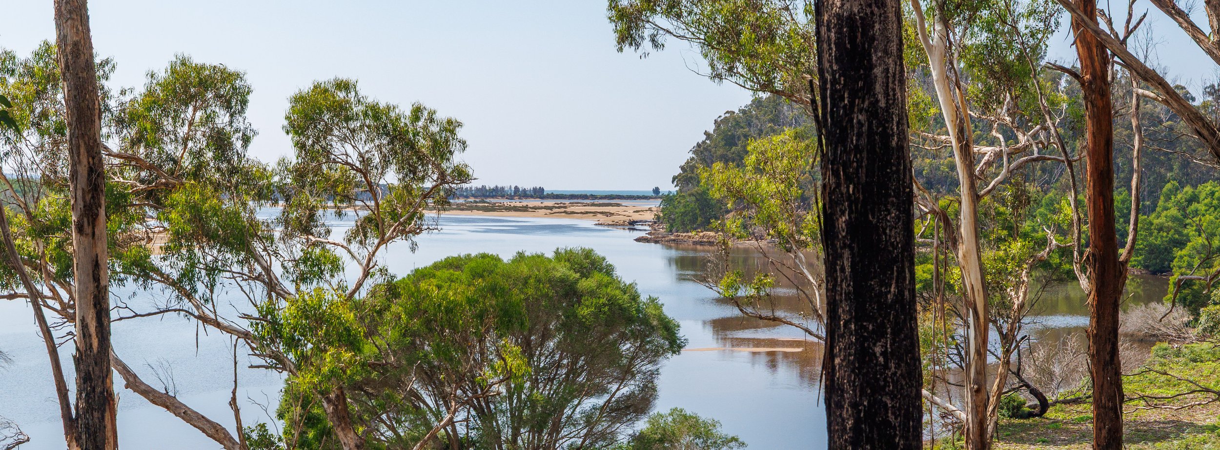 Website Real Estate All-189.jpg