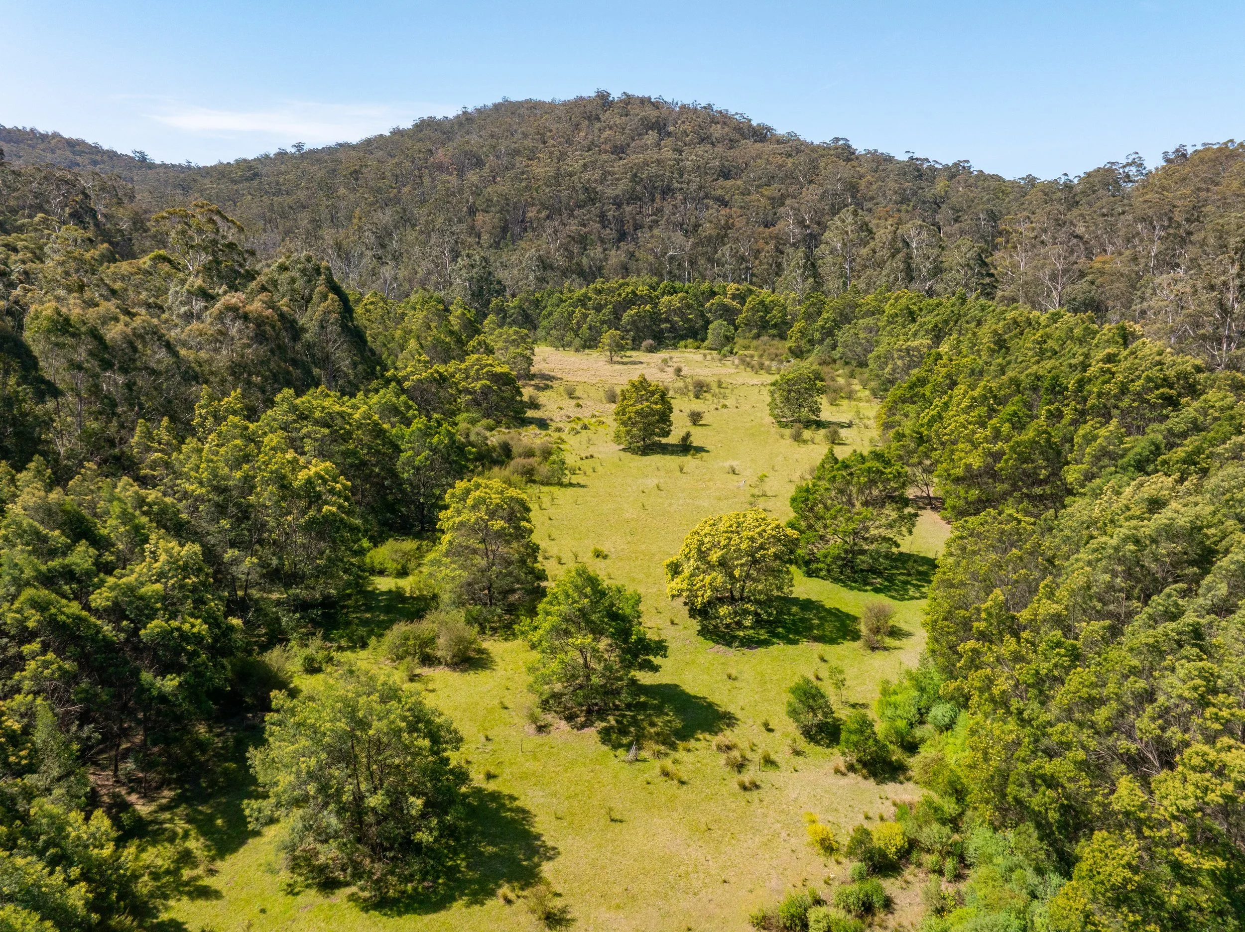 Website Real Estate All-121.jpg