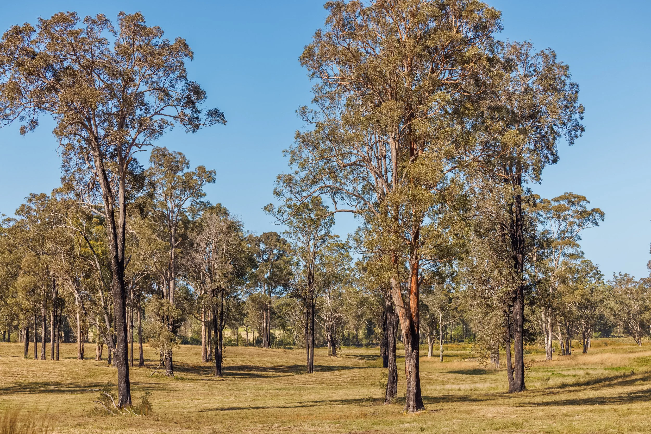 Website Real Estate All-5.jpg