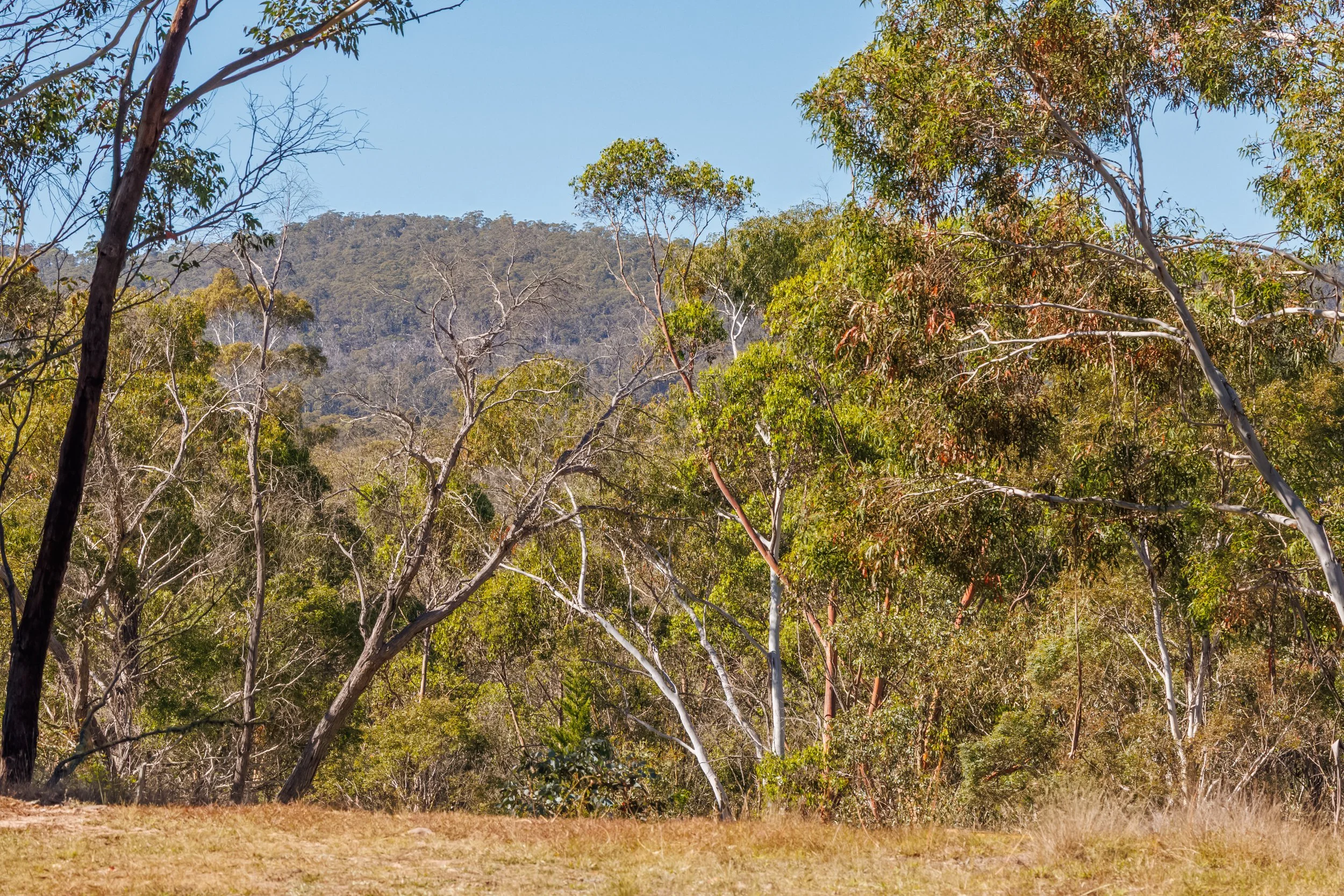 Website Real Estate All-202.jpg