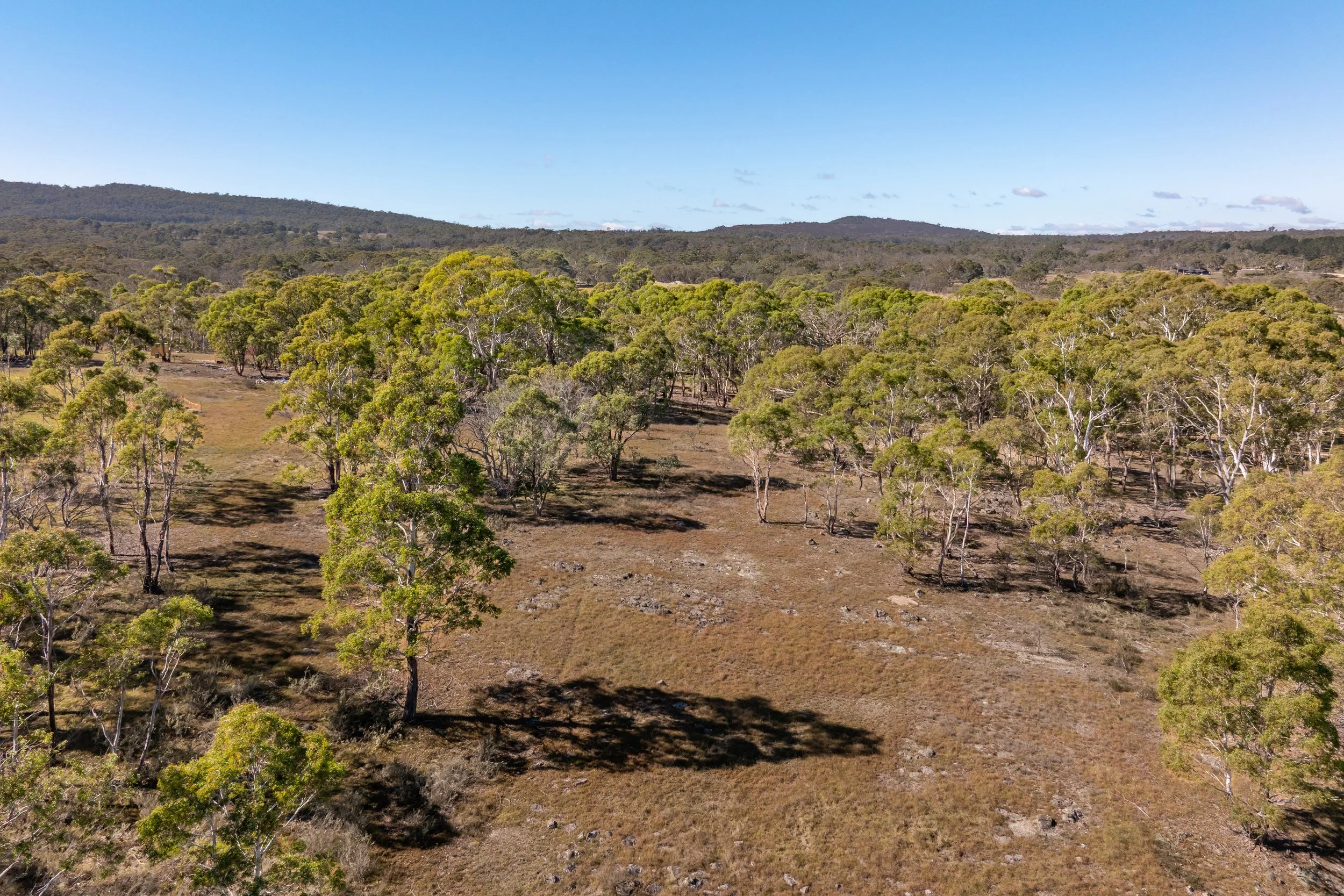 Website Real Estate All-200.jpg