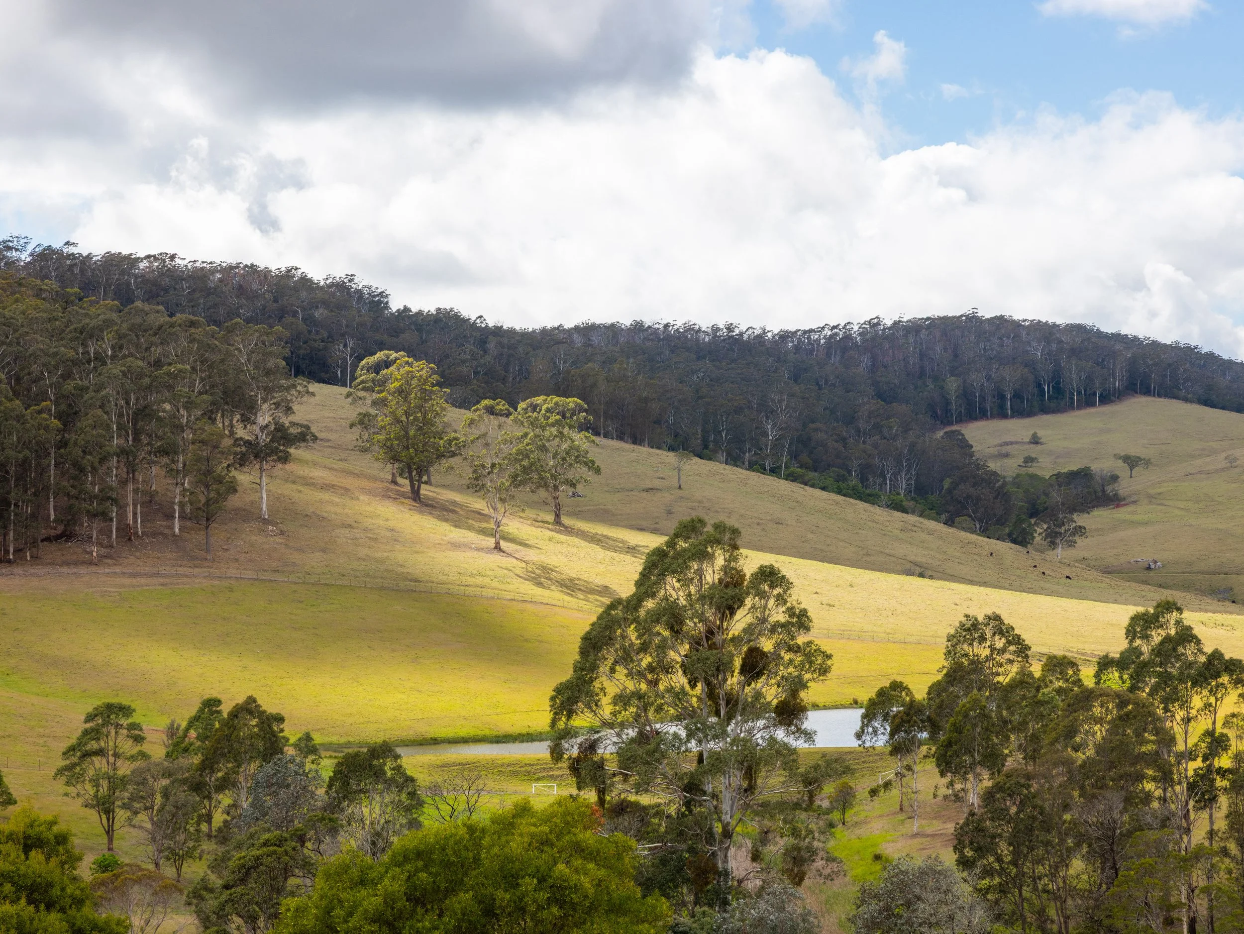 Website Real Estate All-28.jpg