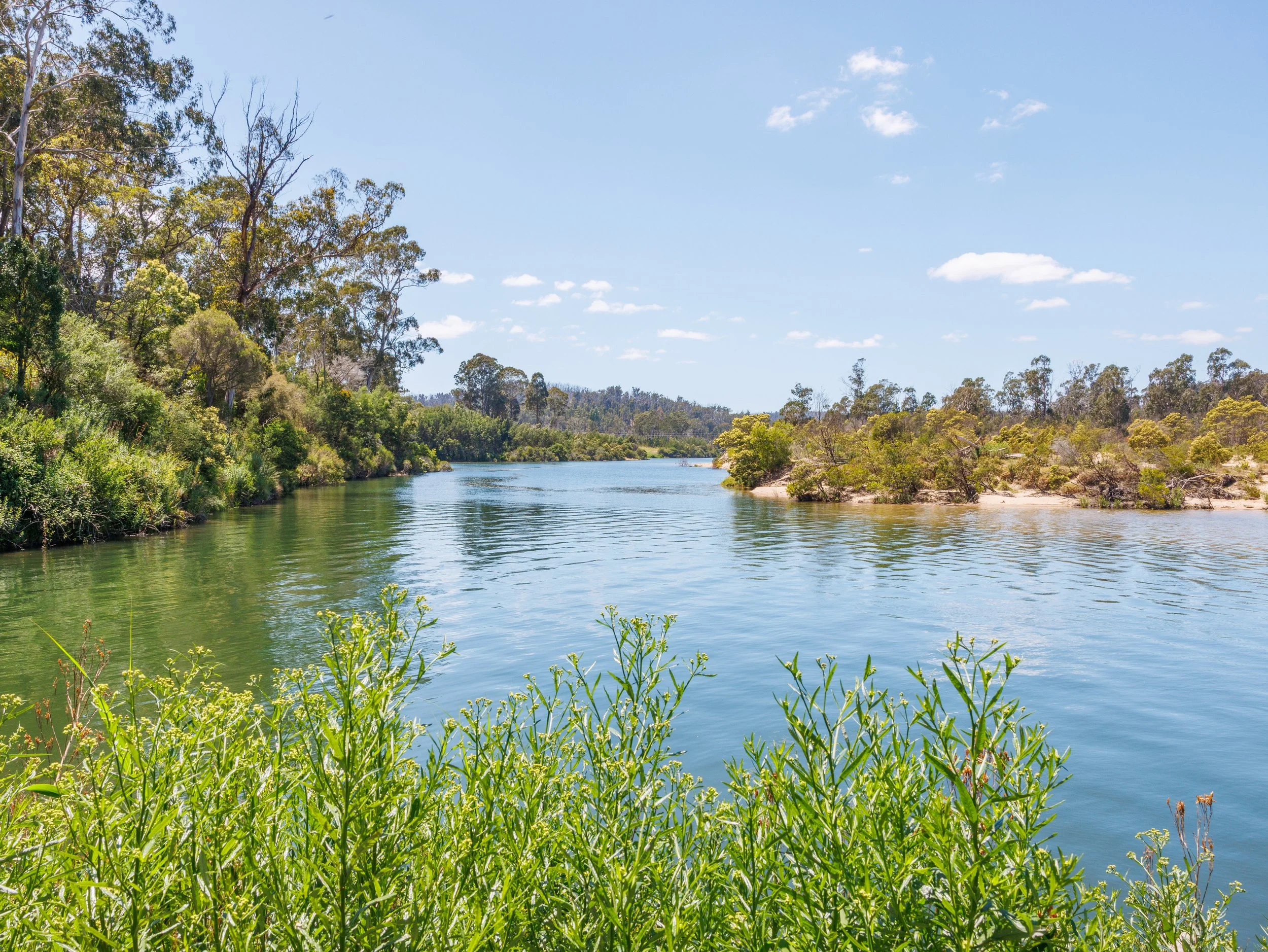 Website Real Estate All-131.jpg