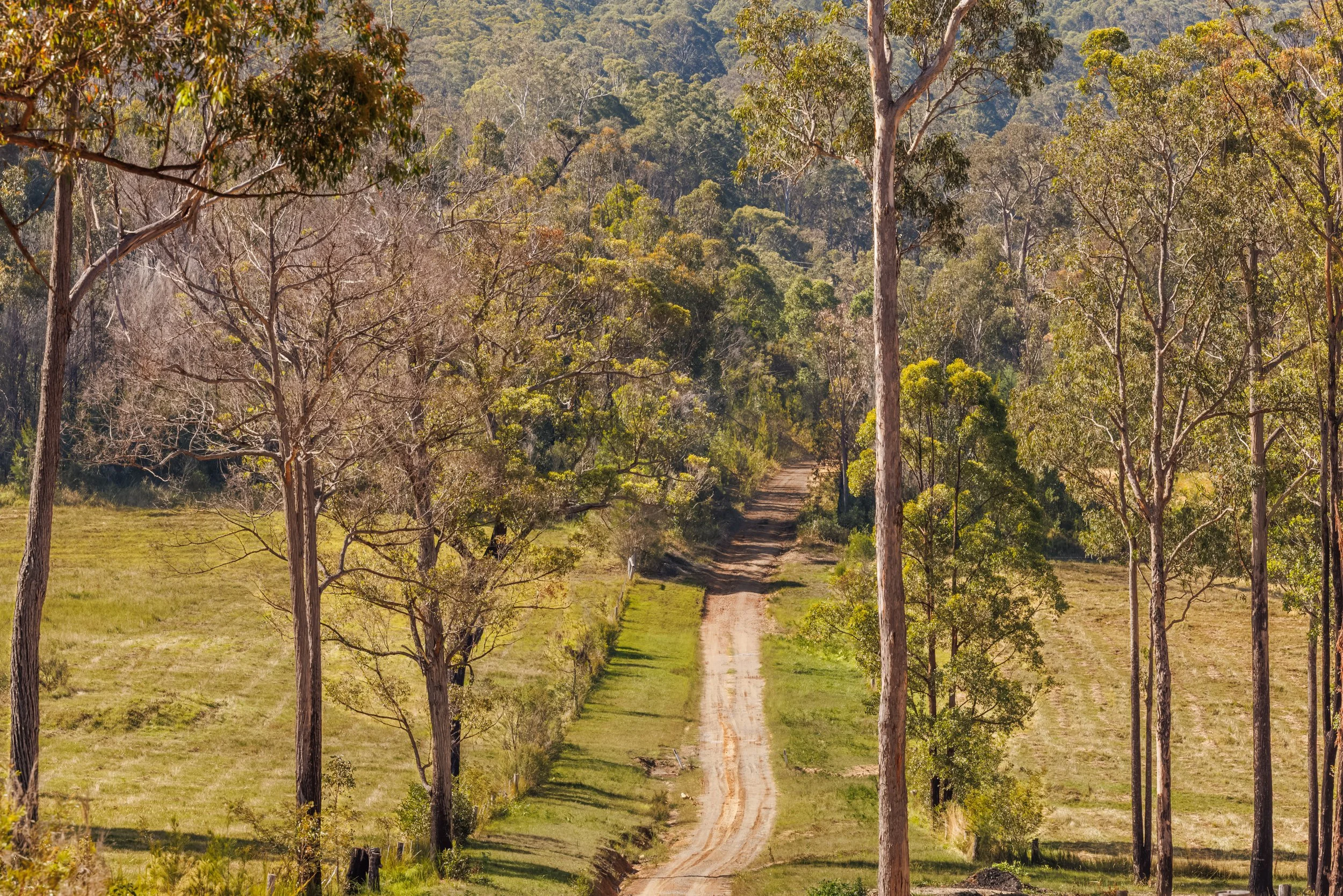 Website Real Estate All-4.jpg