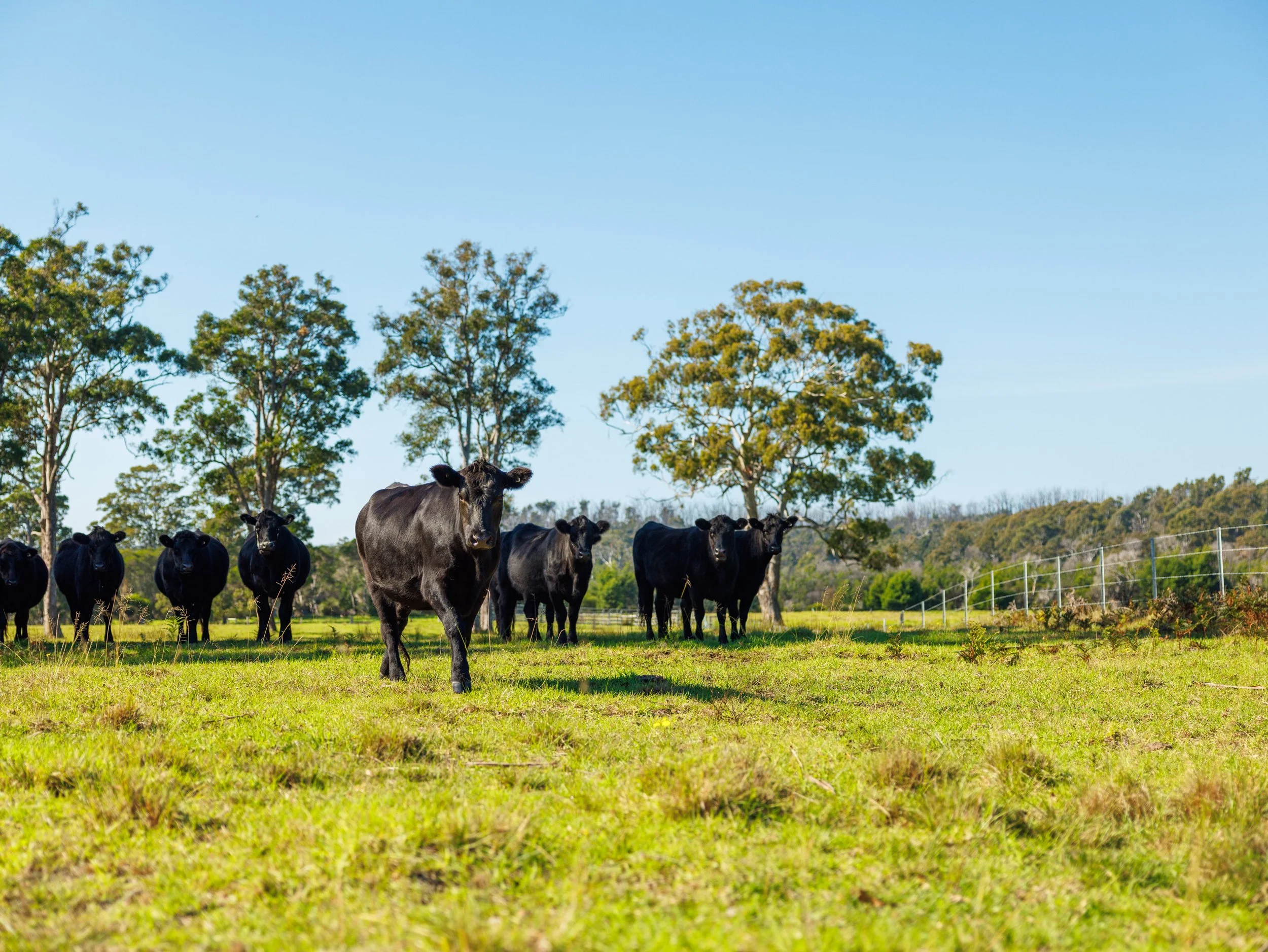 Website Real Estate All-84.jpg