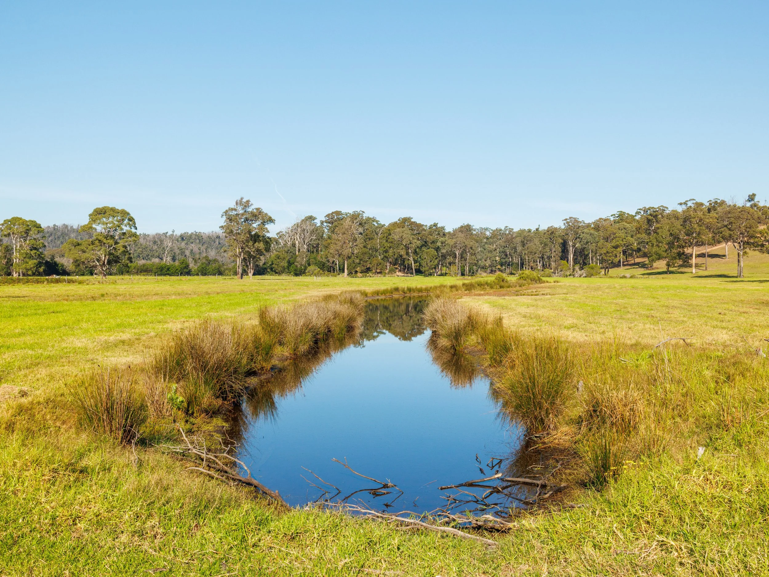 Website Real Estate All-81.jpg