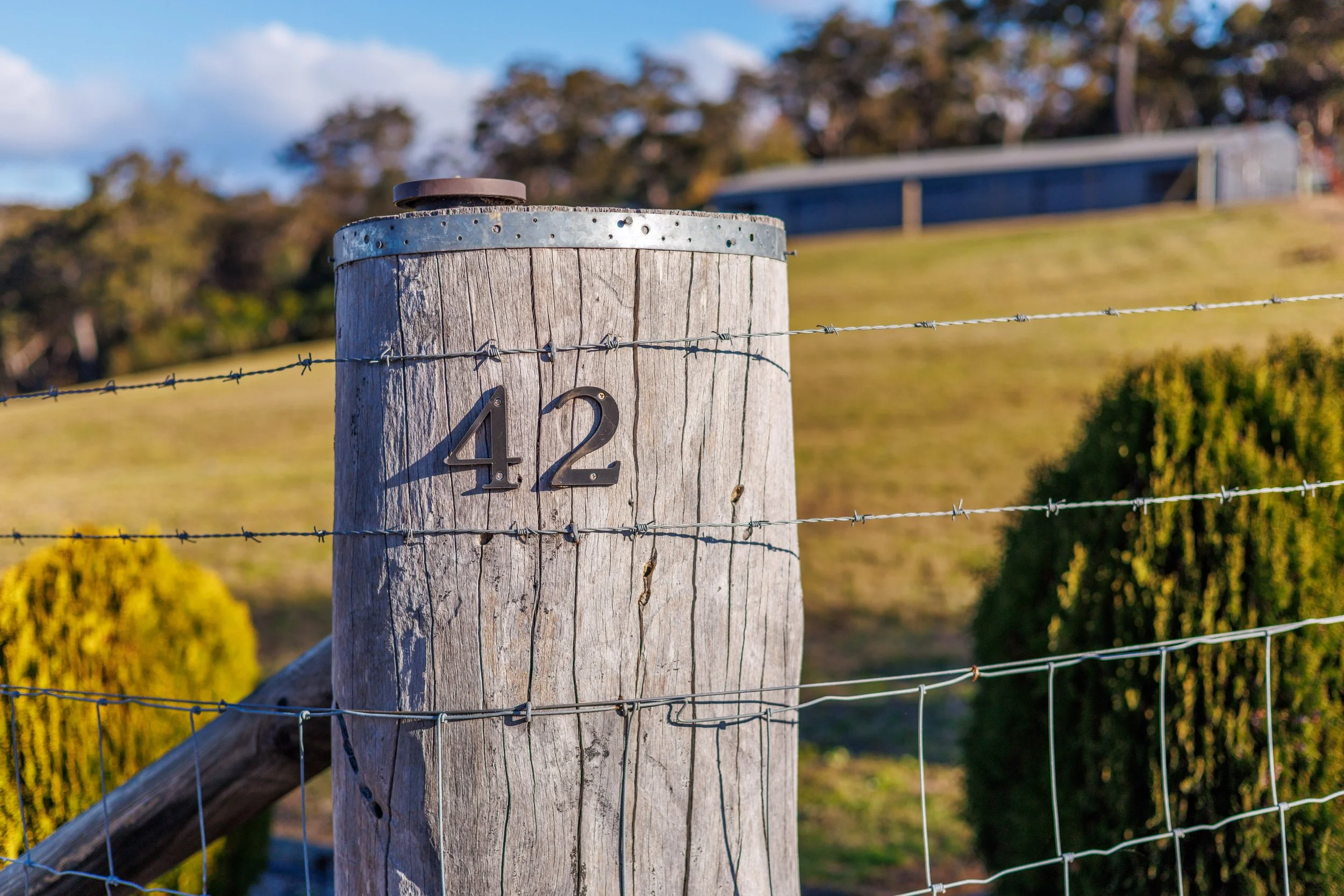 Website Real Estate All-226.jpg