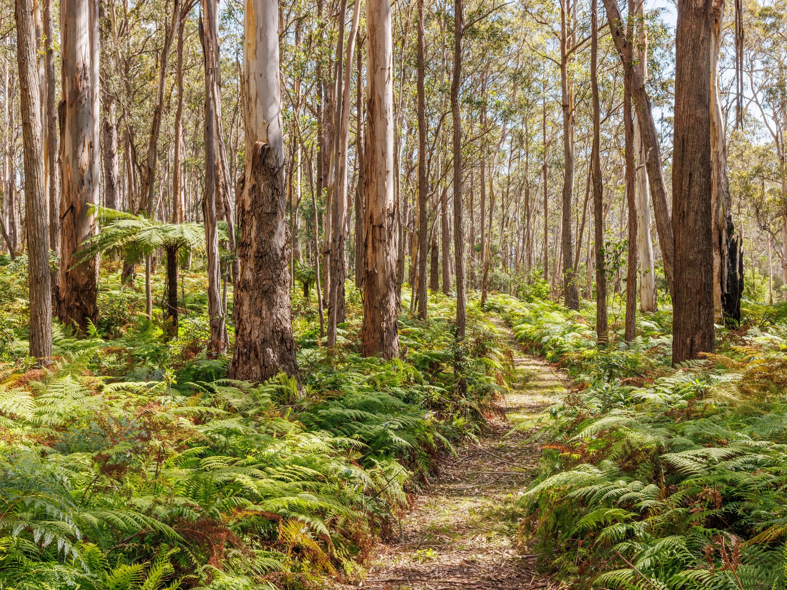 Website Real Estate All-98.jpg