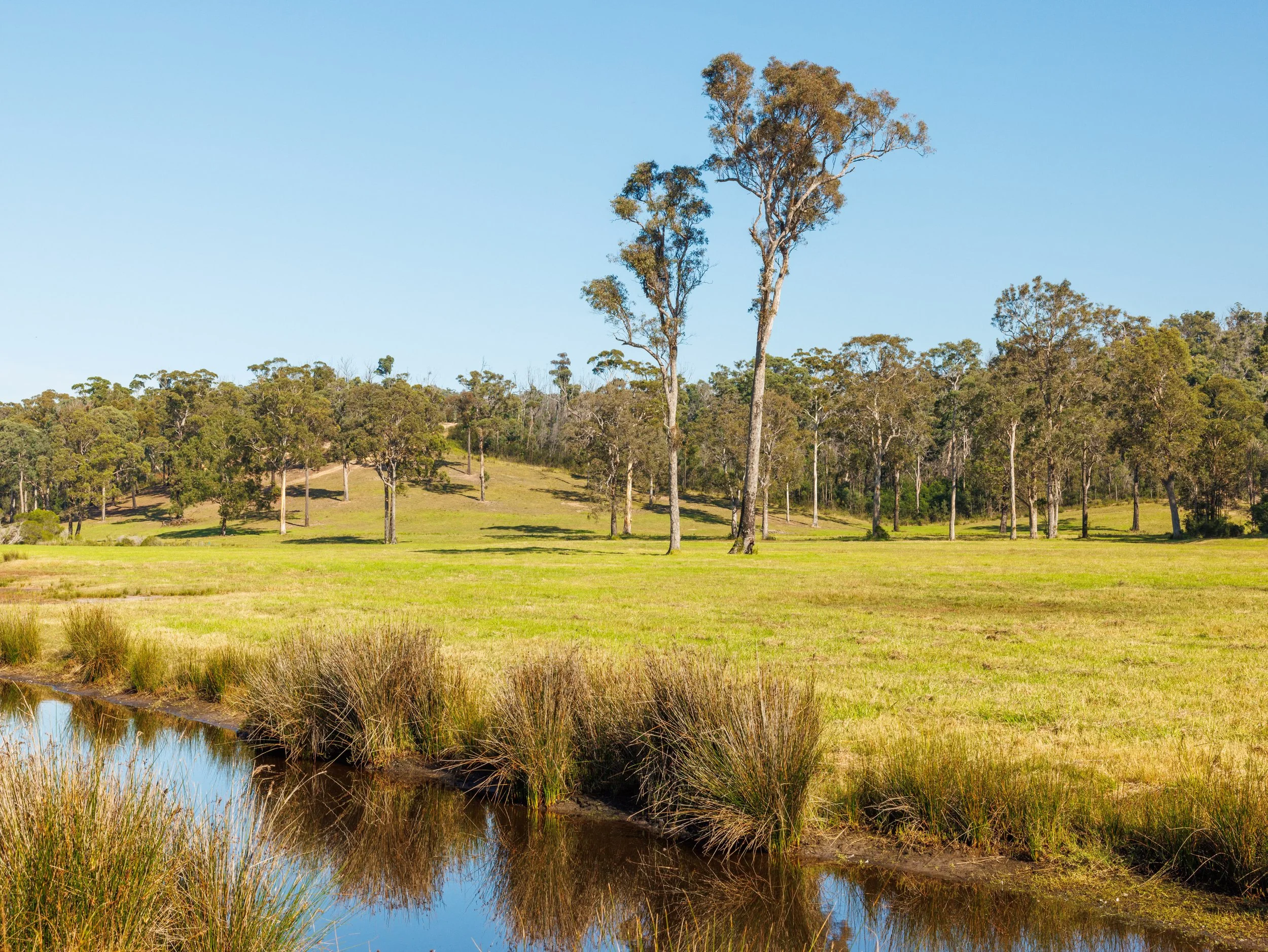 Website Real Estate All-83.jpg