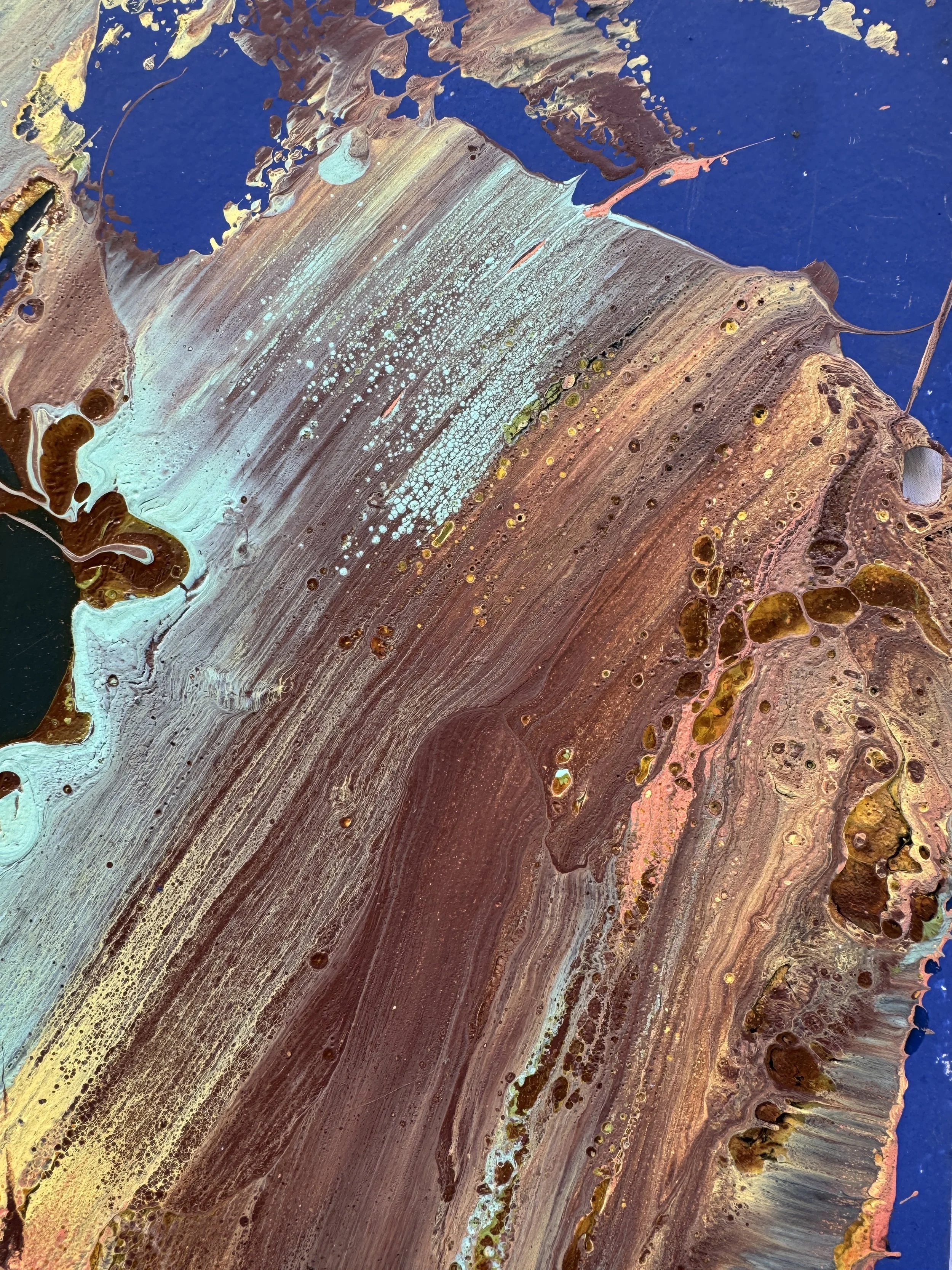 bird-no war-detail 02JPG.JPG