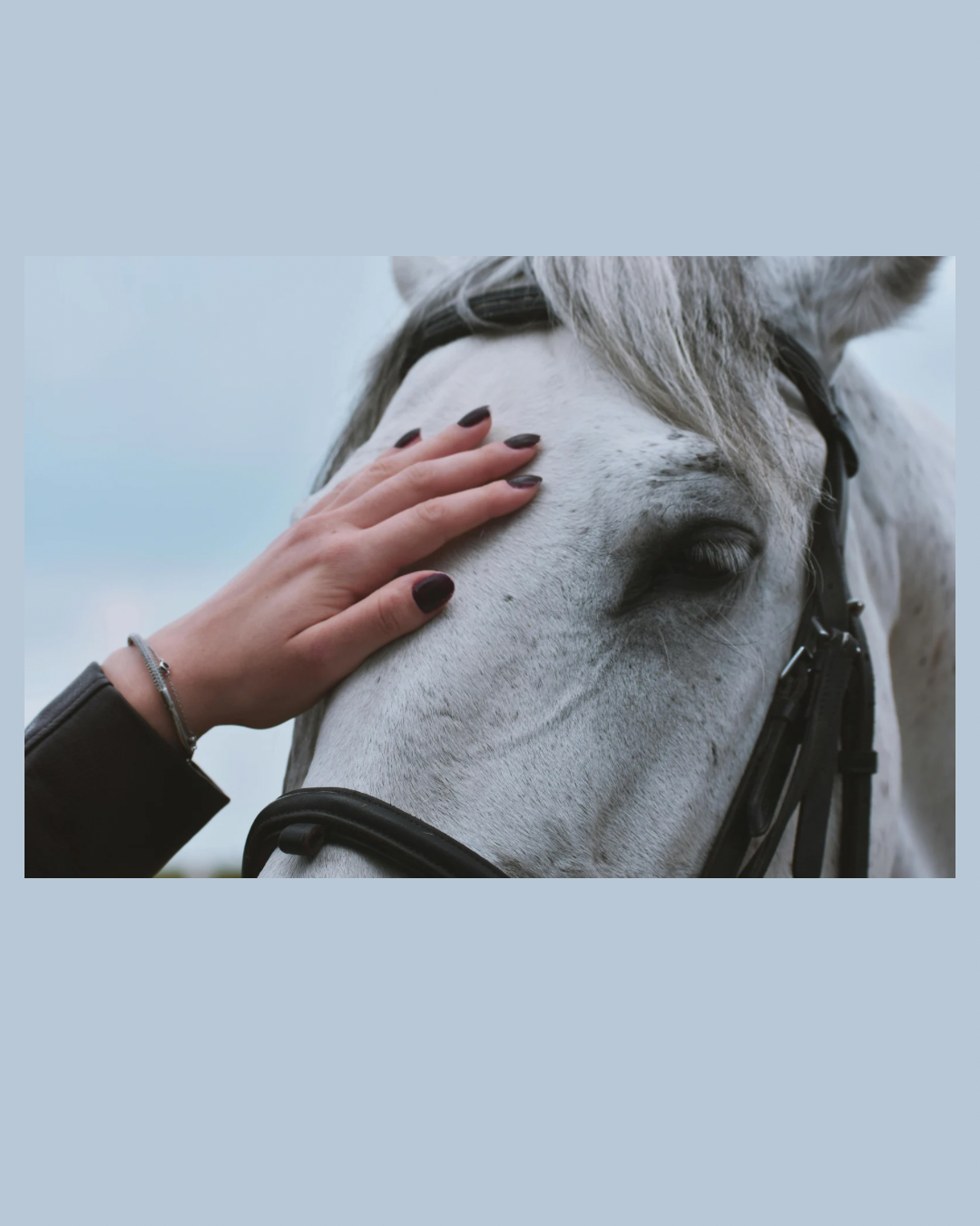 Home was never something to be made louder.It was meant to be made safe.